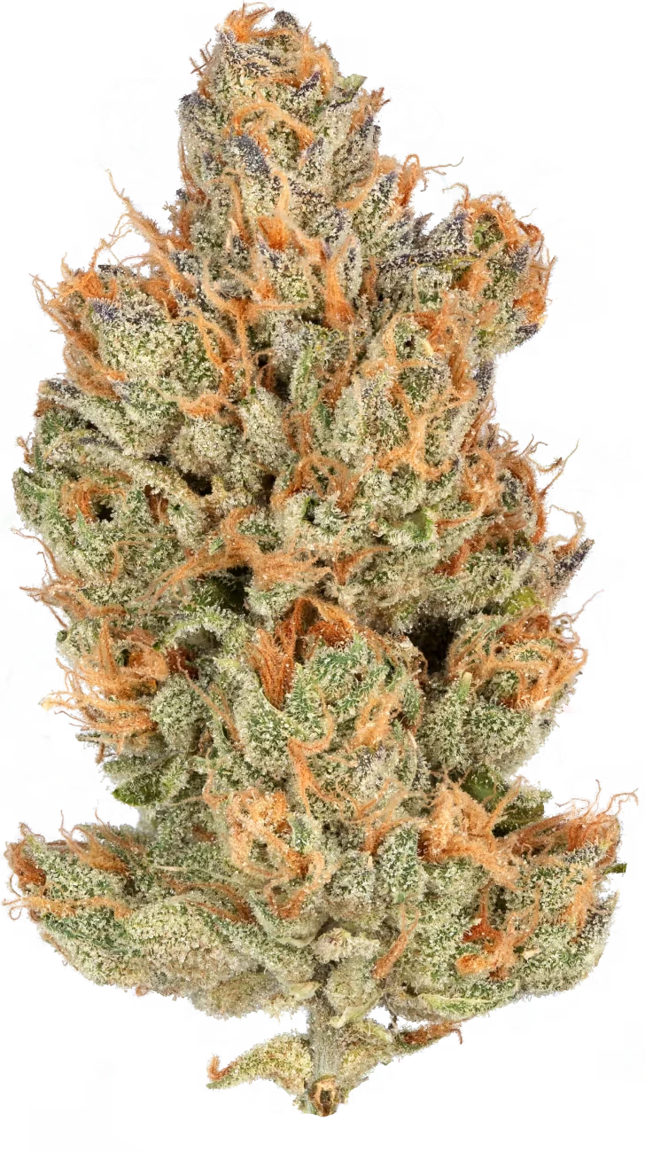 Orange Crush 28.0% — 3.5 Grams view 2
