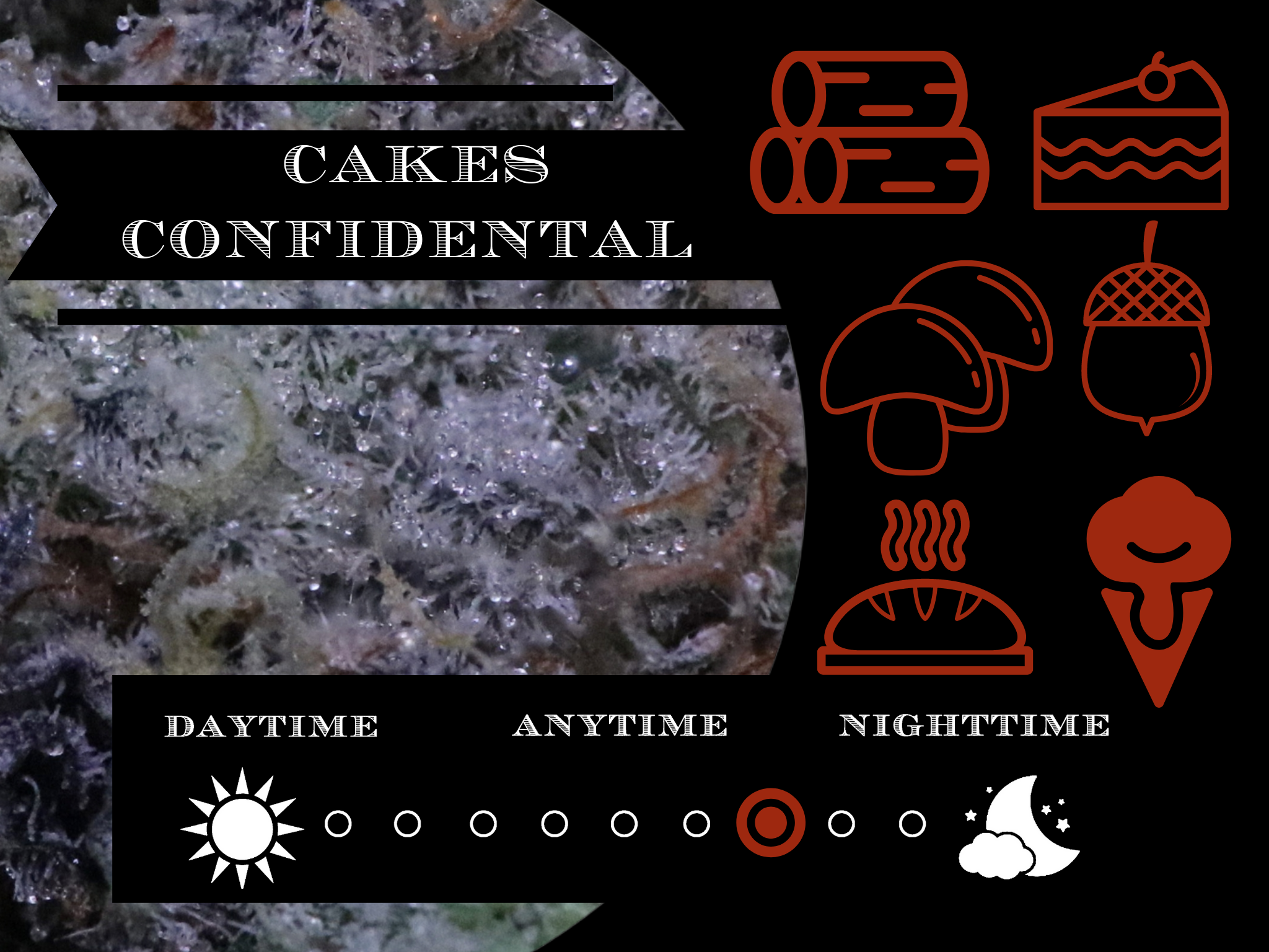 Cakes Confidential 28.2% view 2