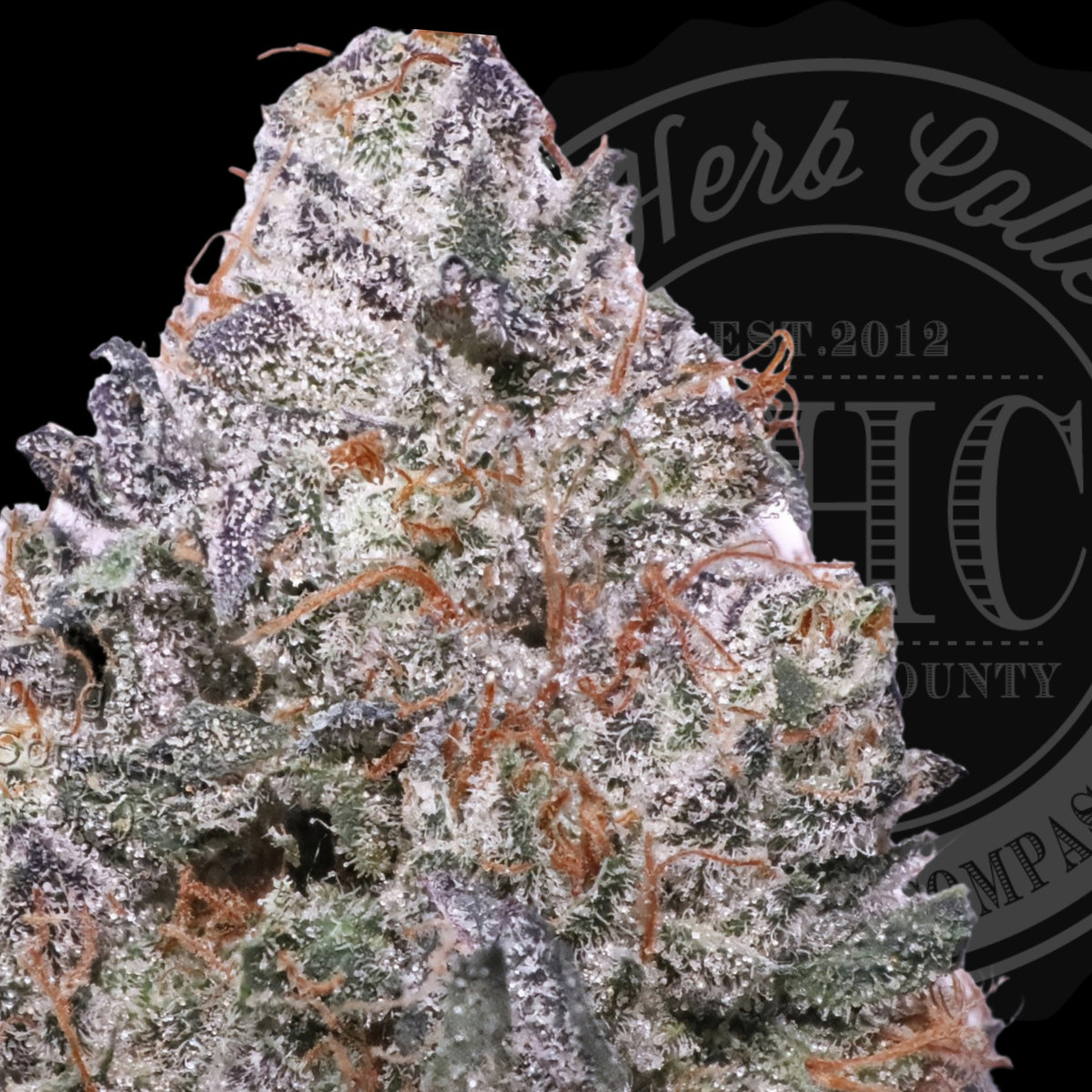 Watermelon Cakes 35.3%