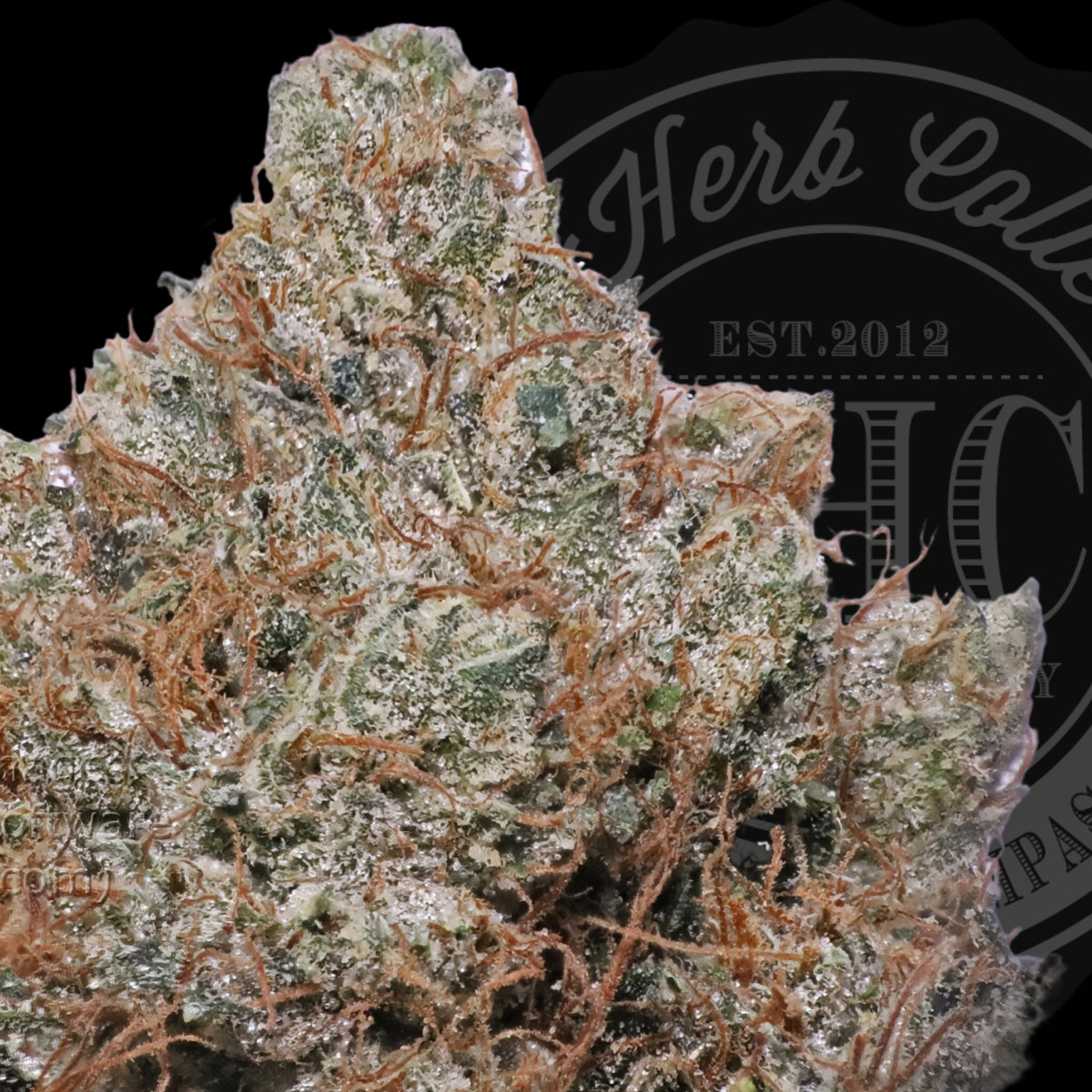 OG Kush Classic 36.4%