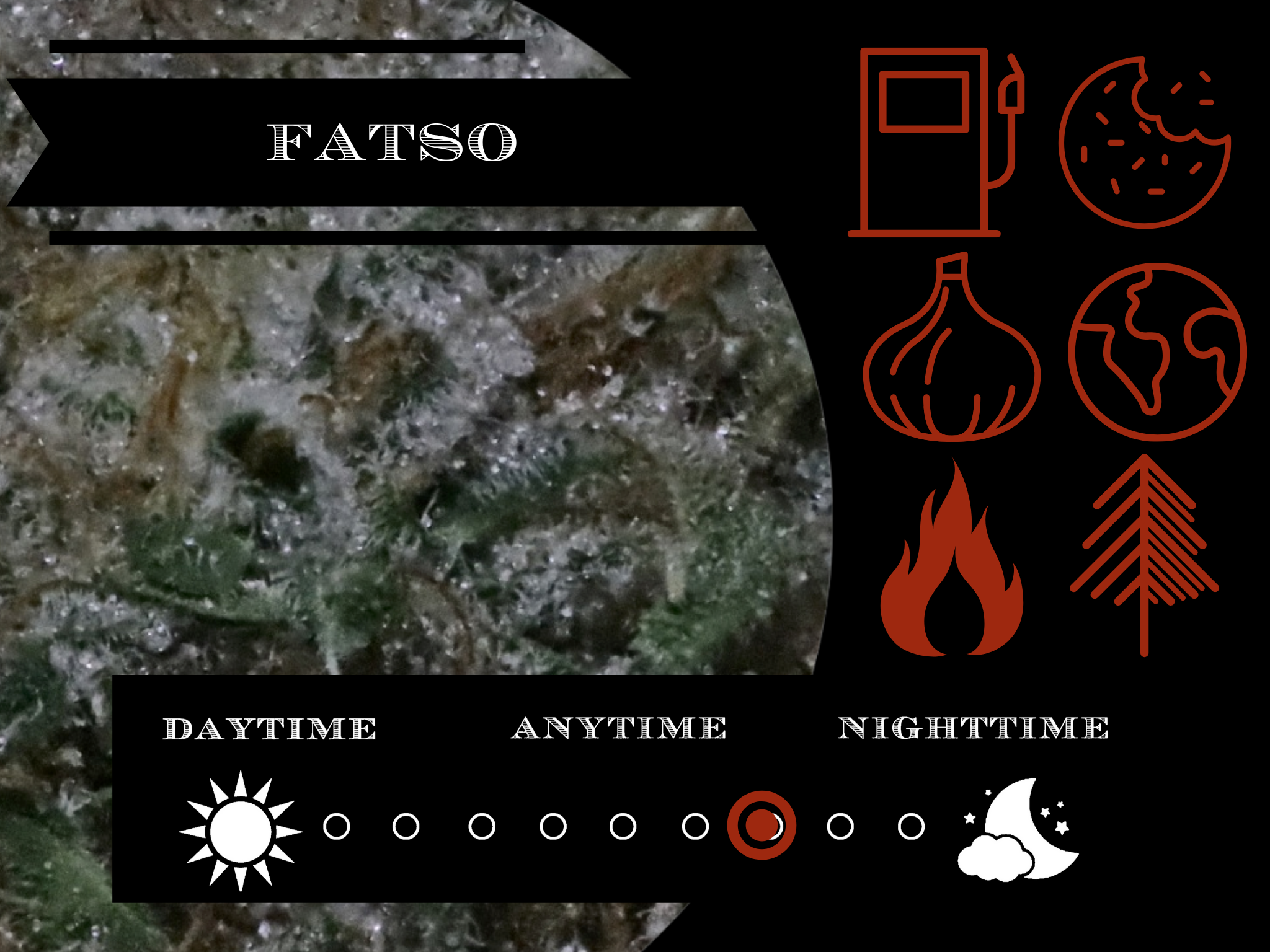 Fatso 27.6% view 2