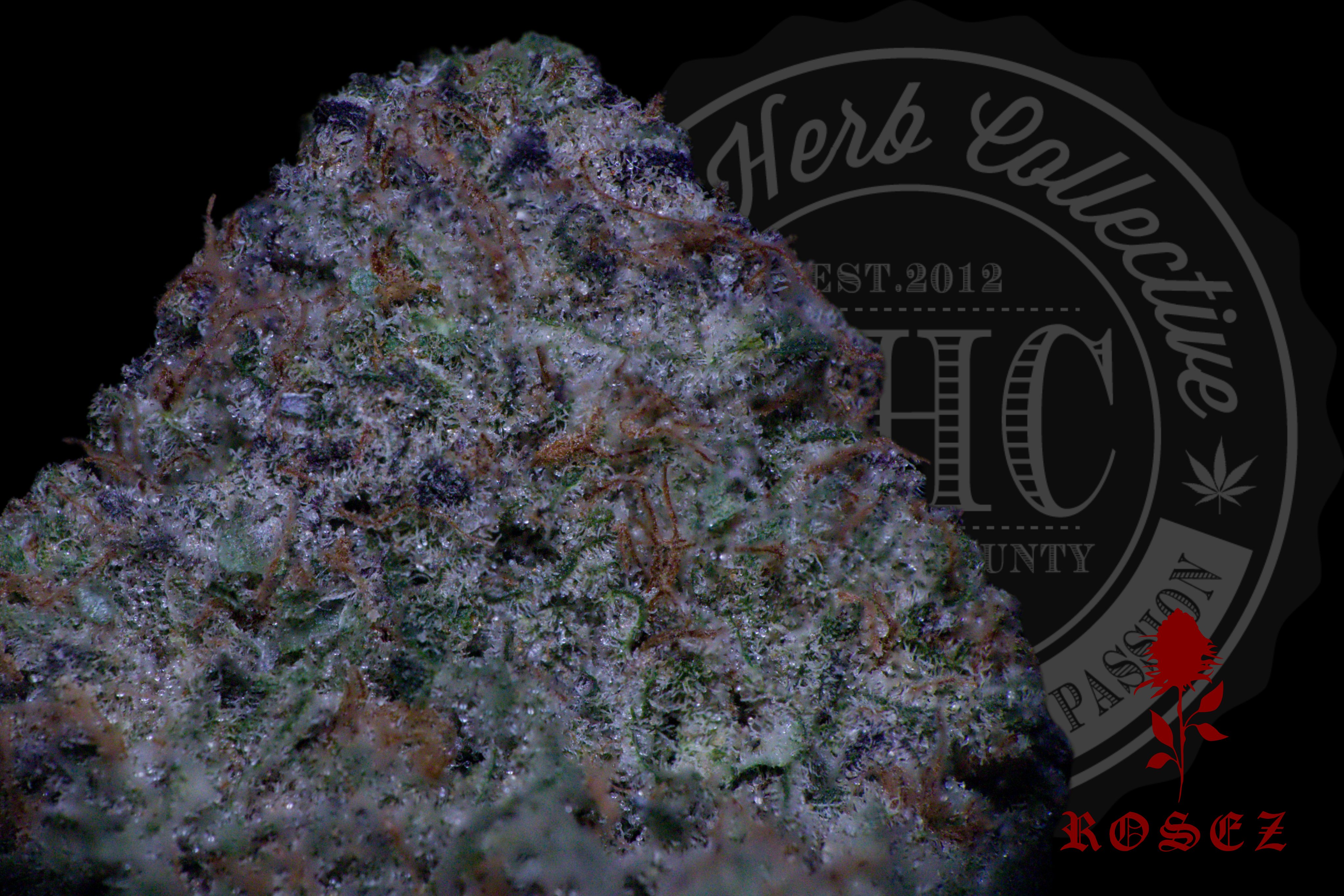 Cookie Cake 28.2%