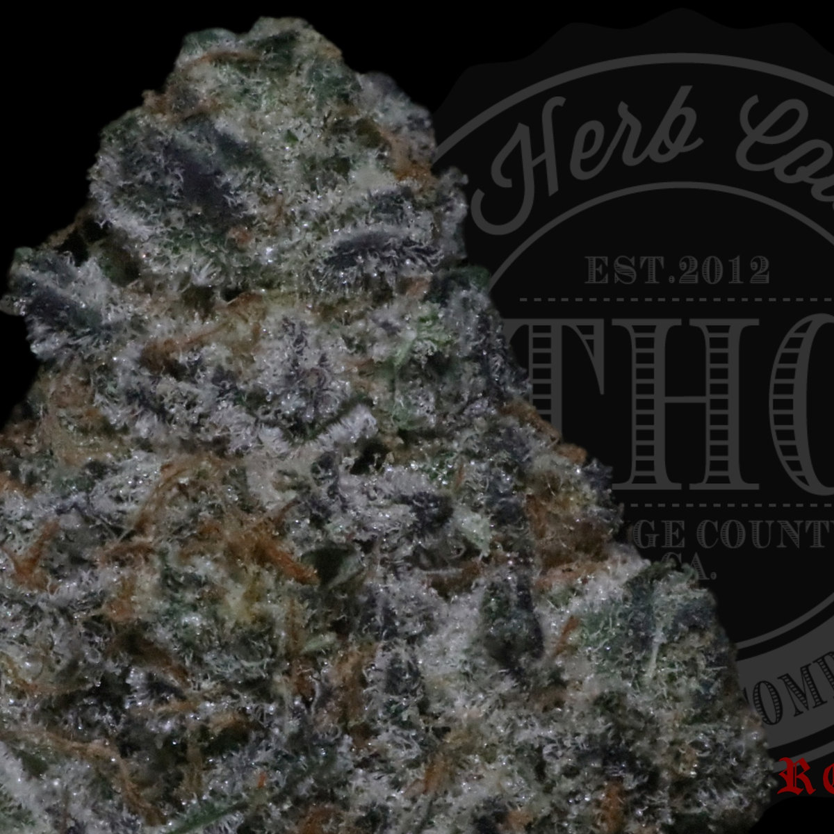 Peanut Butter Breath 26.6%