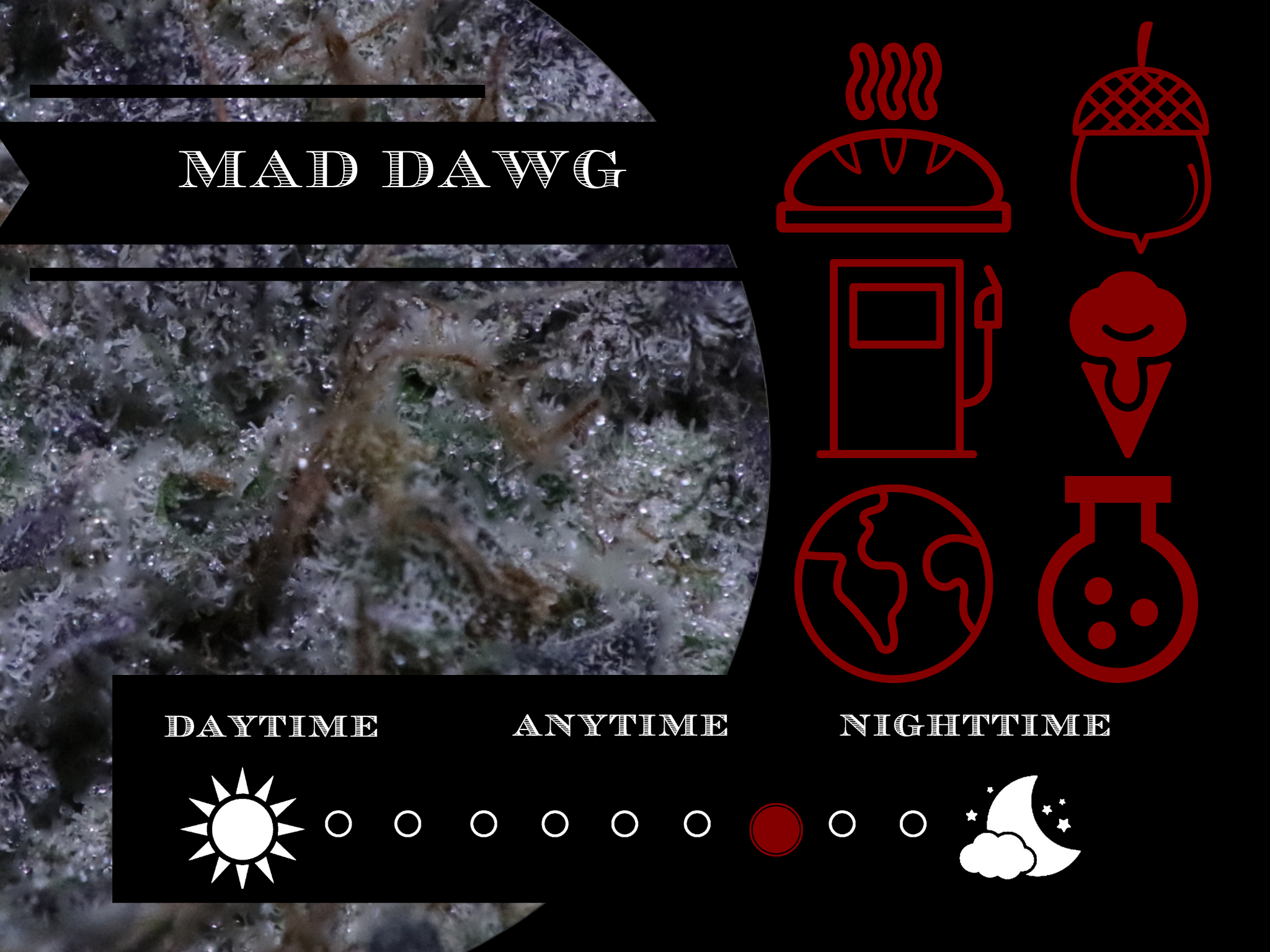 Mad Dawg 27.2% view 2