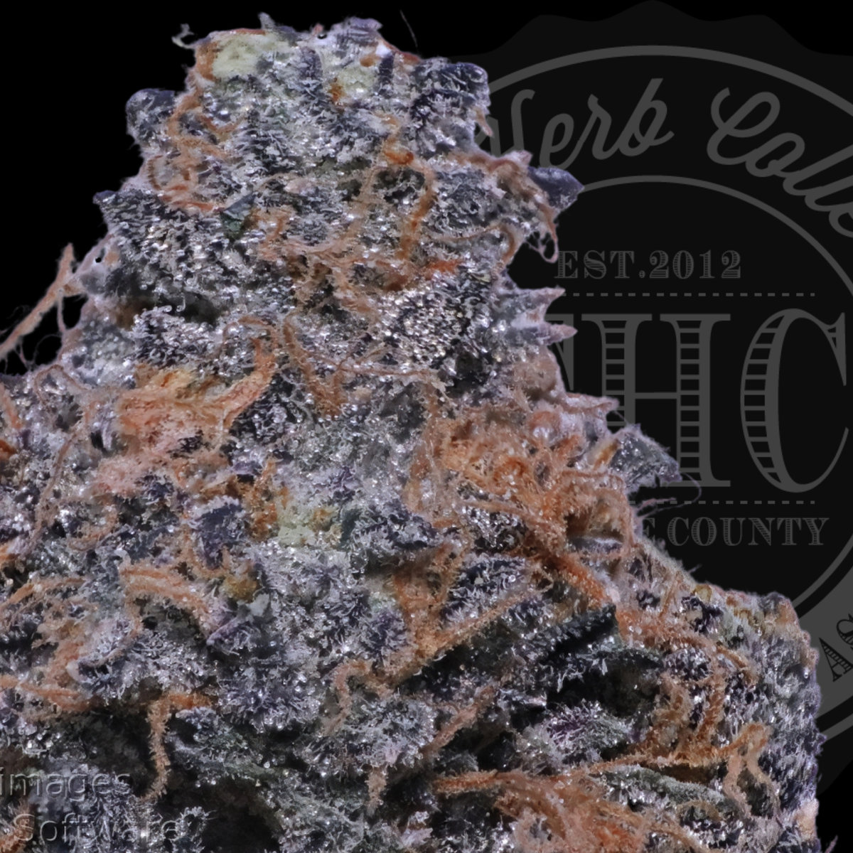 Laughy Taffy 36.1%