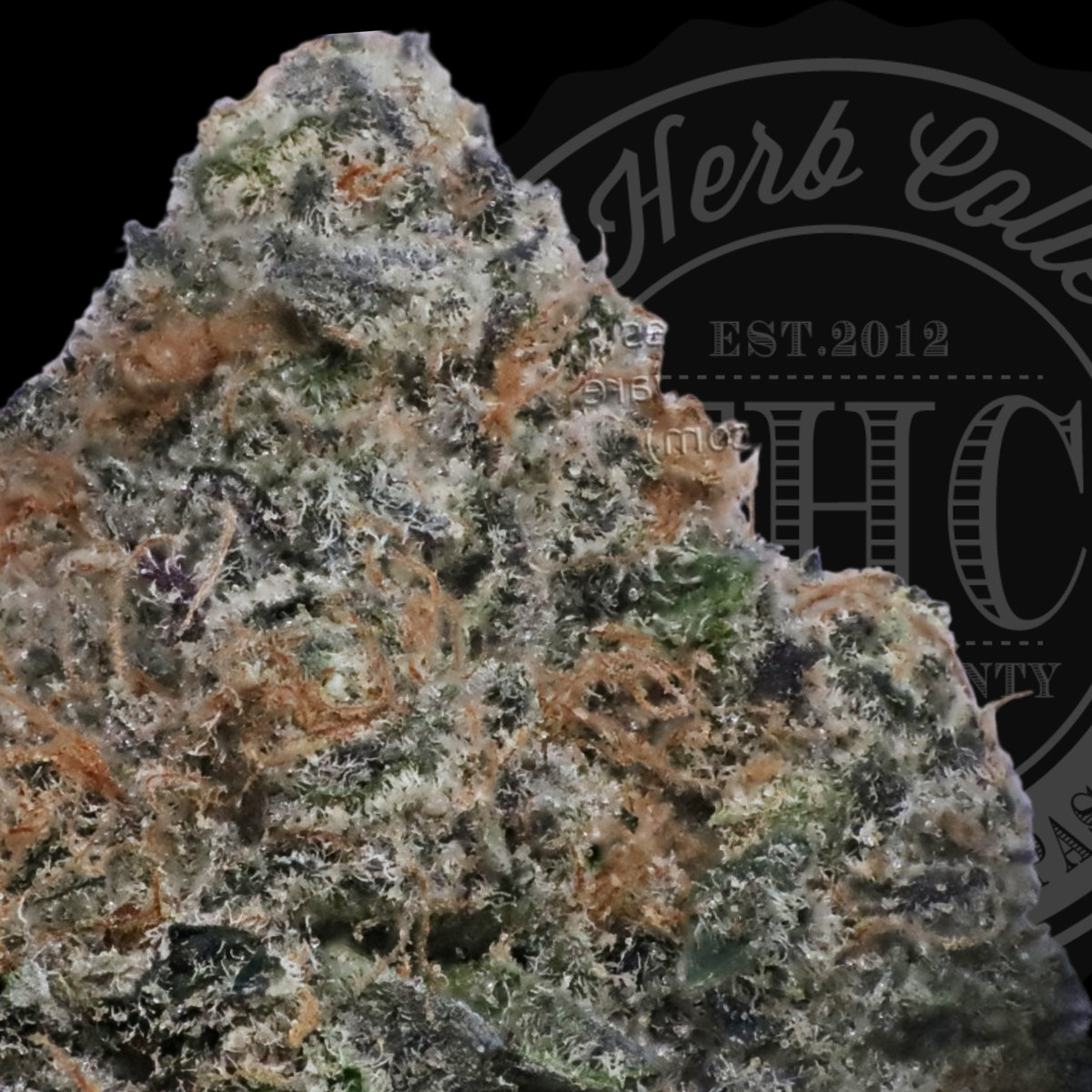 Alien Apples 34.8%