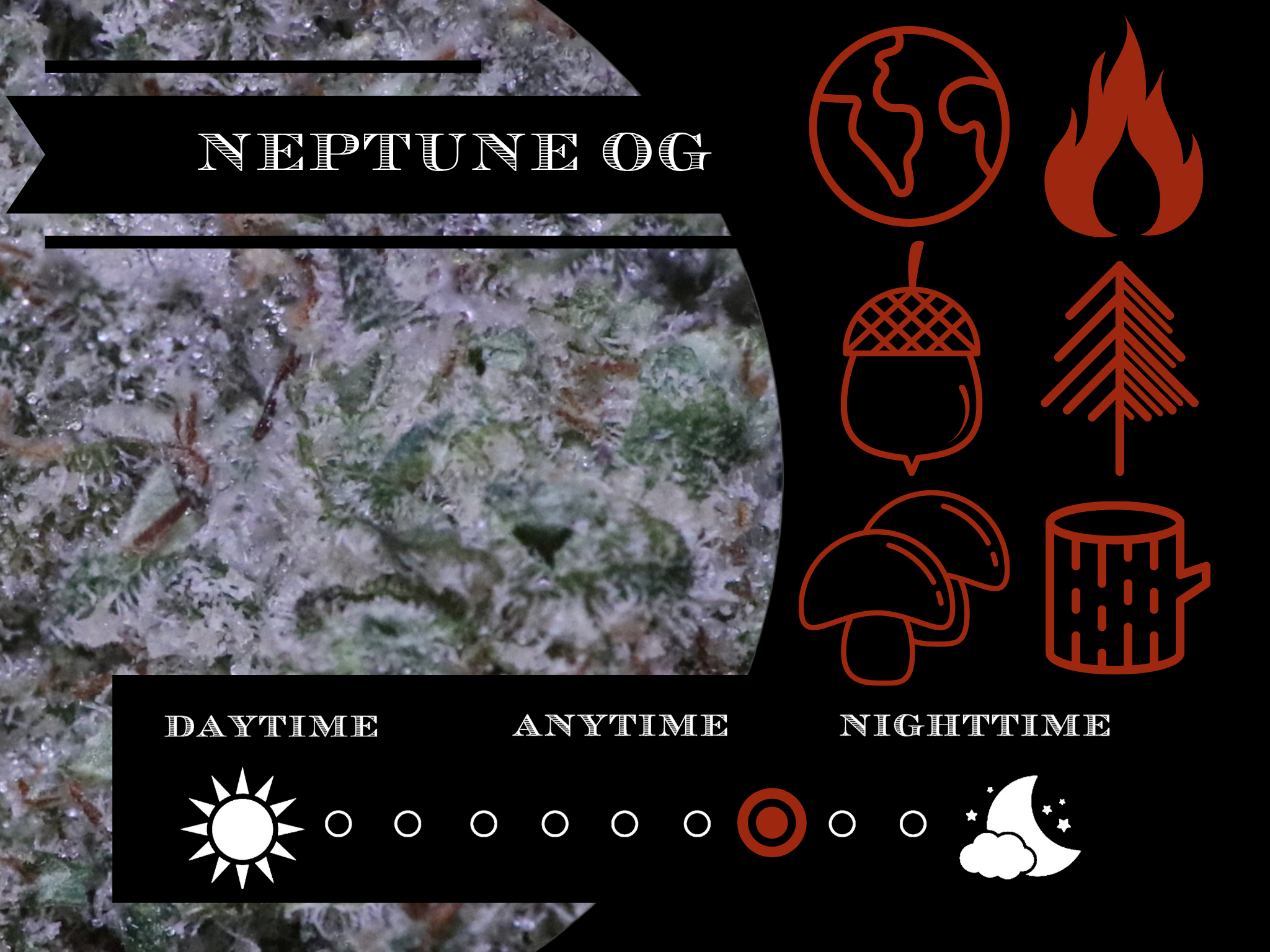 Neptune OG 26.8% view 2