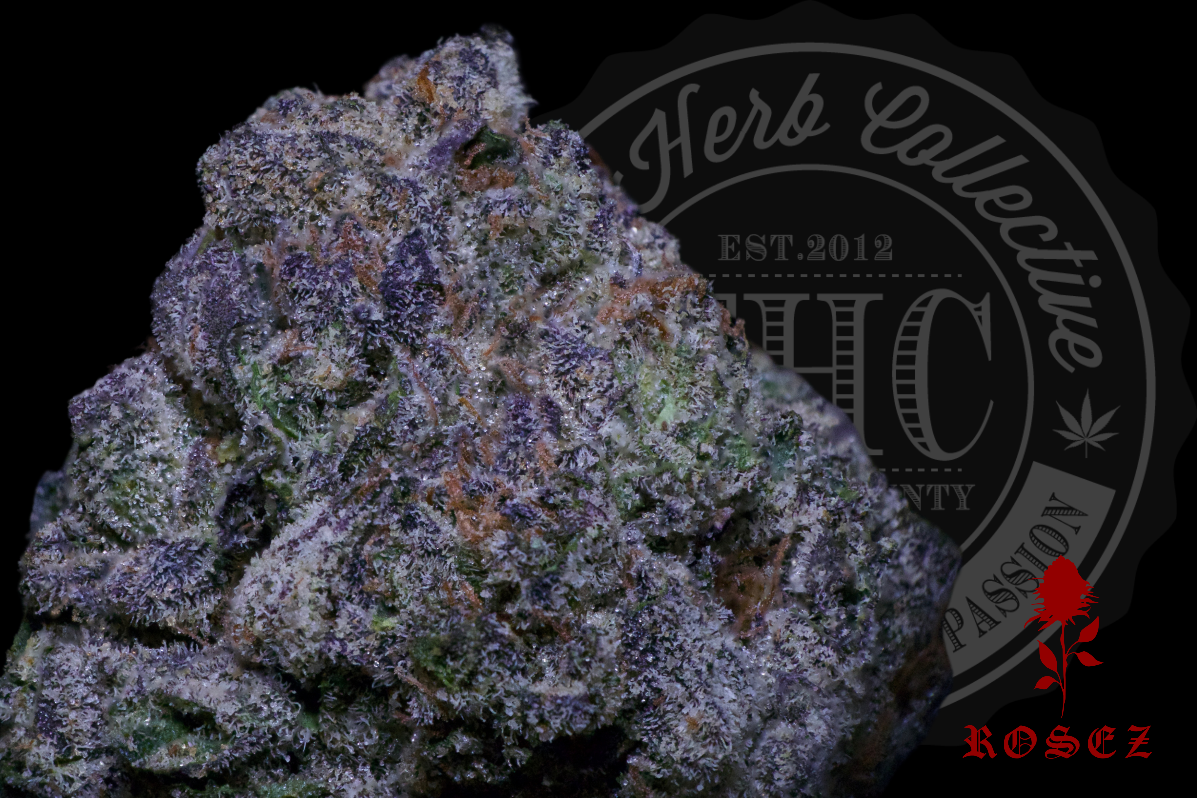 Sour Gelato #5 26.8%