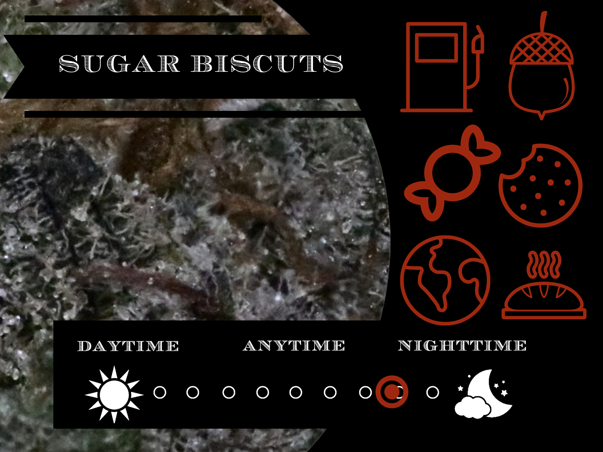 Sugar Biscuts 28.2% view 2