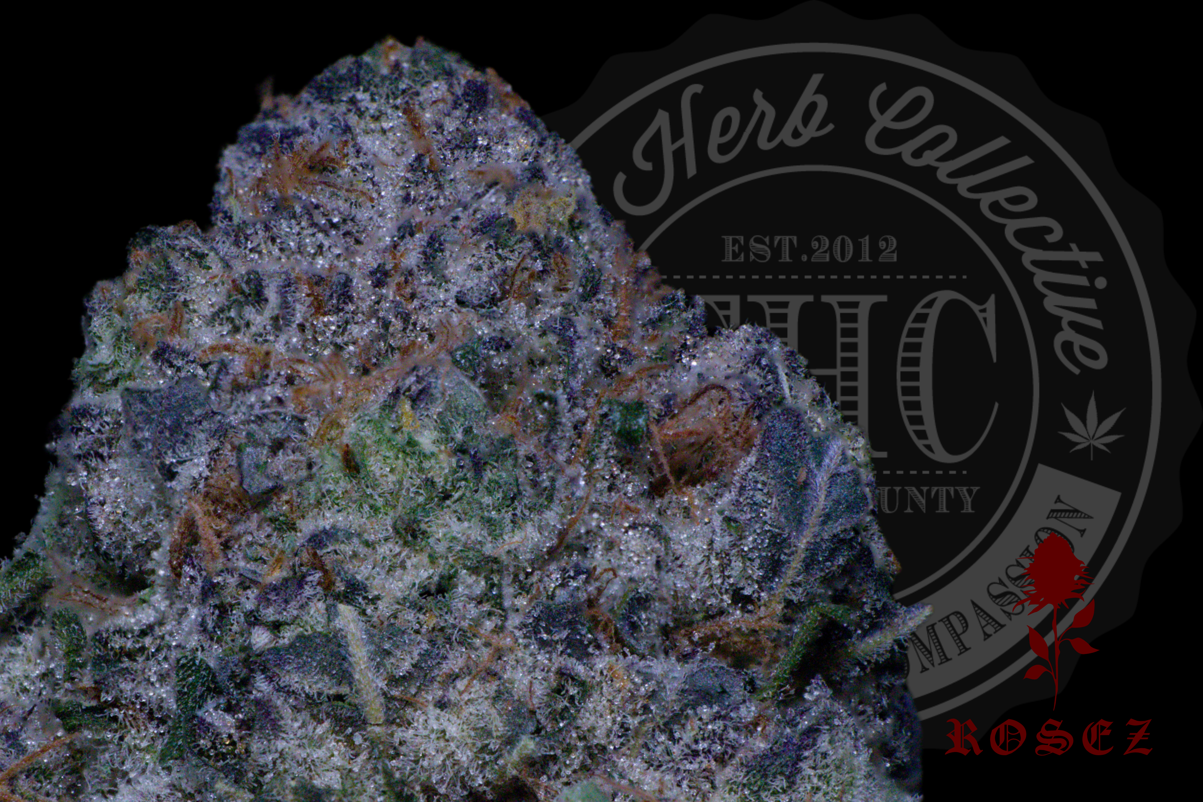 24 Karat Haze 27.2%