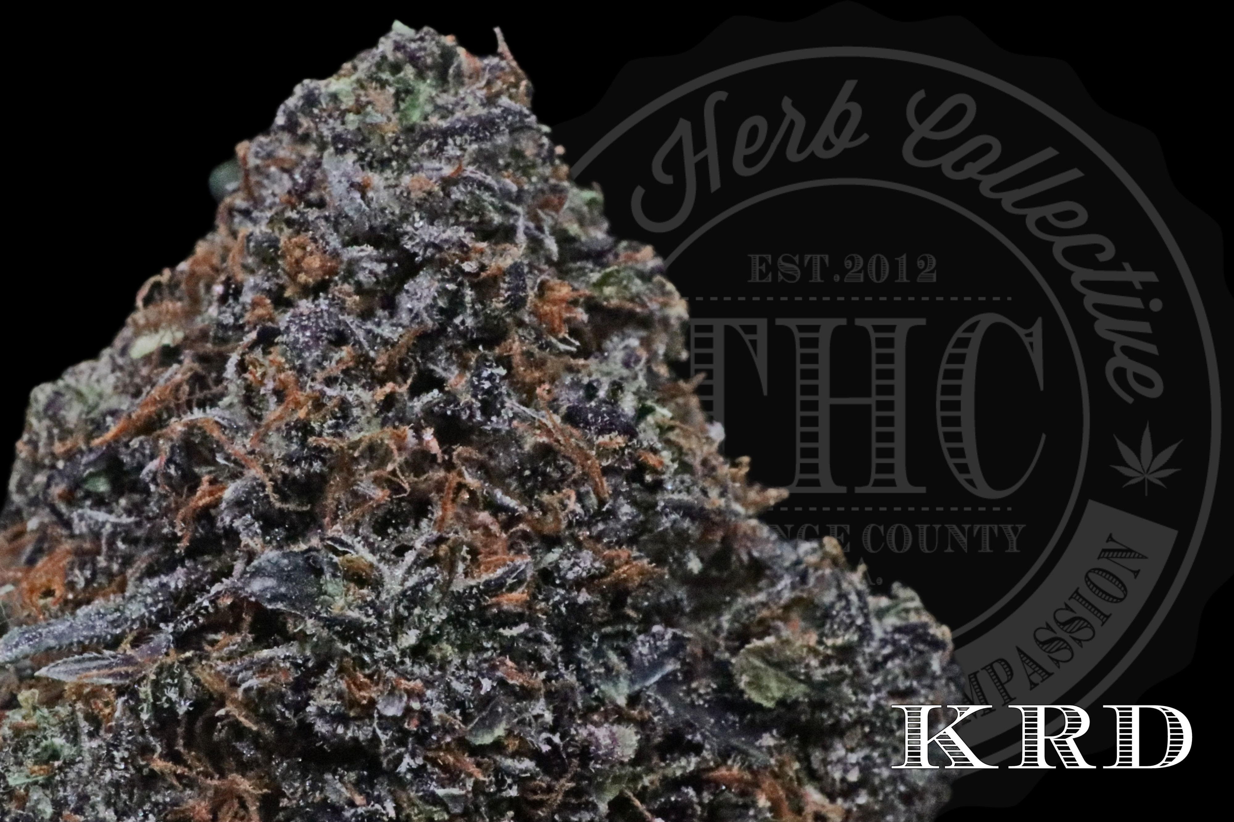Gelato