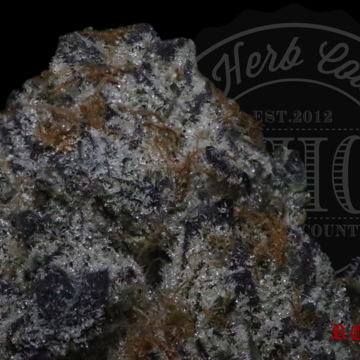 Sugar Biscuts 28.2%