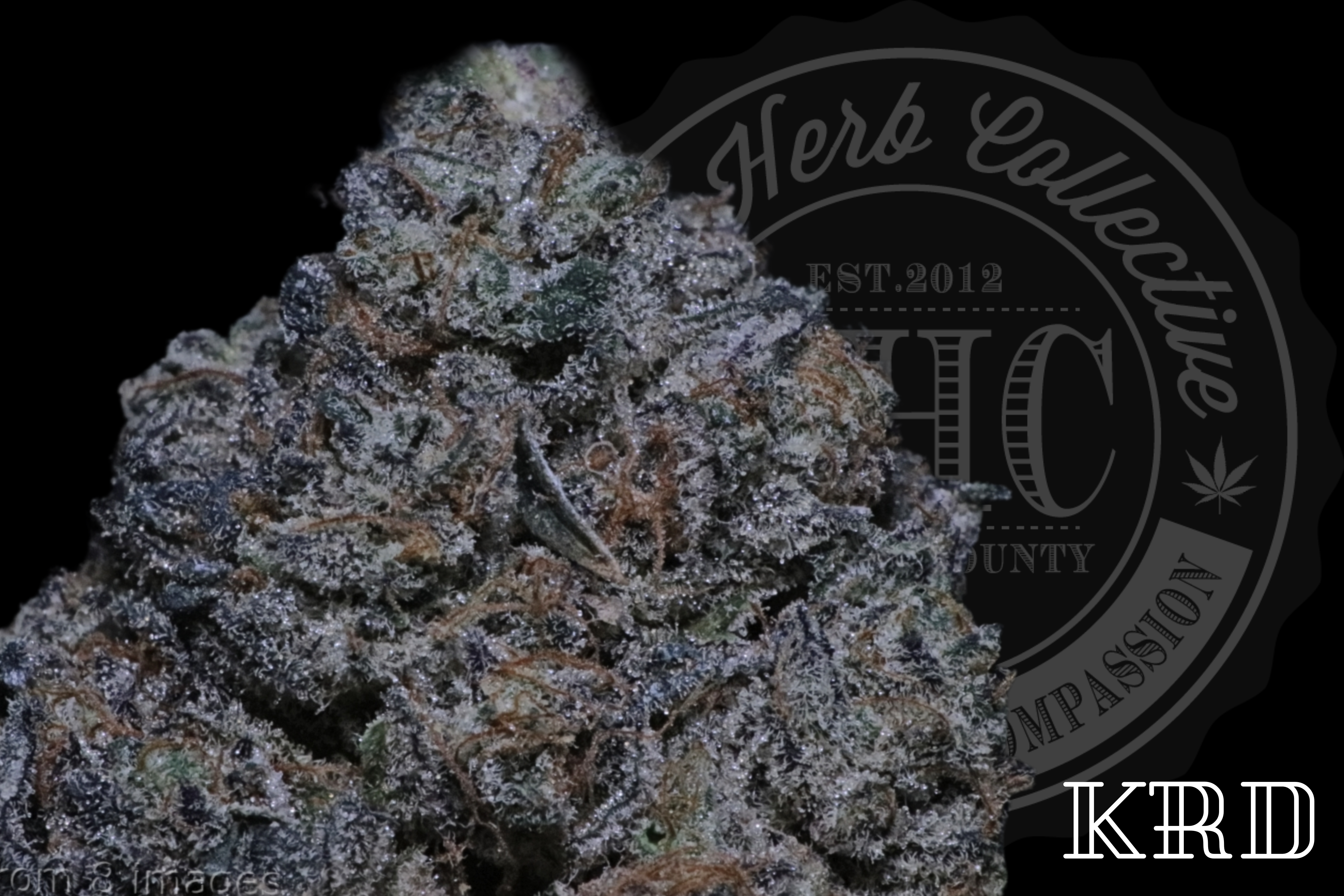 Optimus Prime 34.8 %