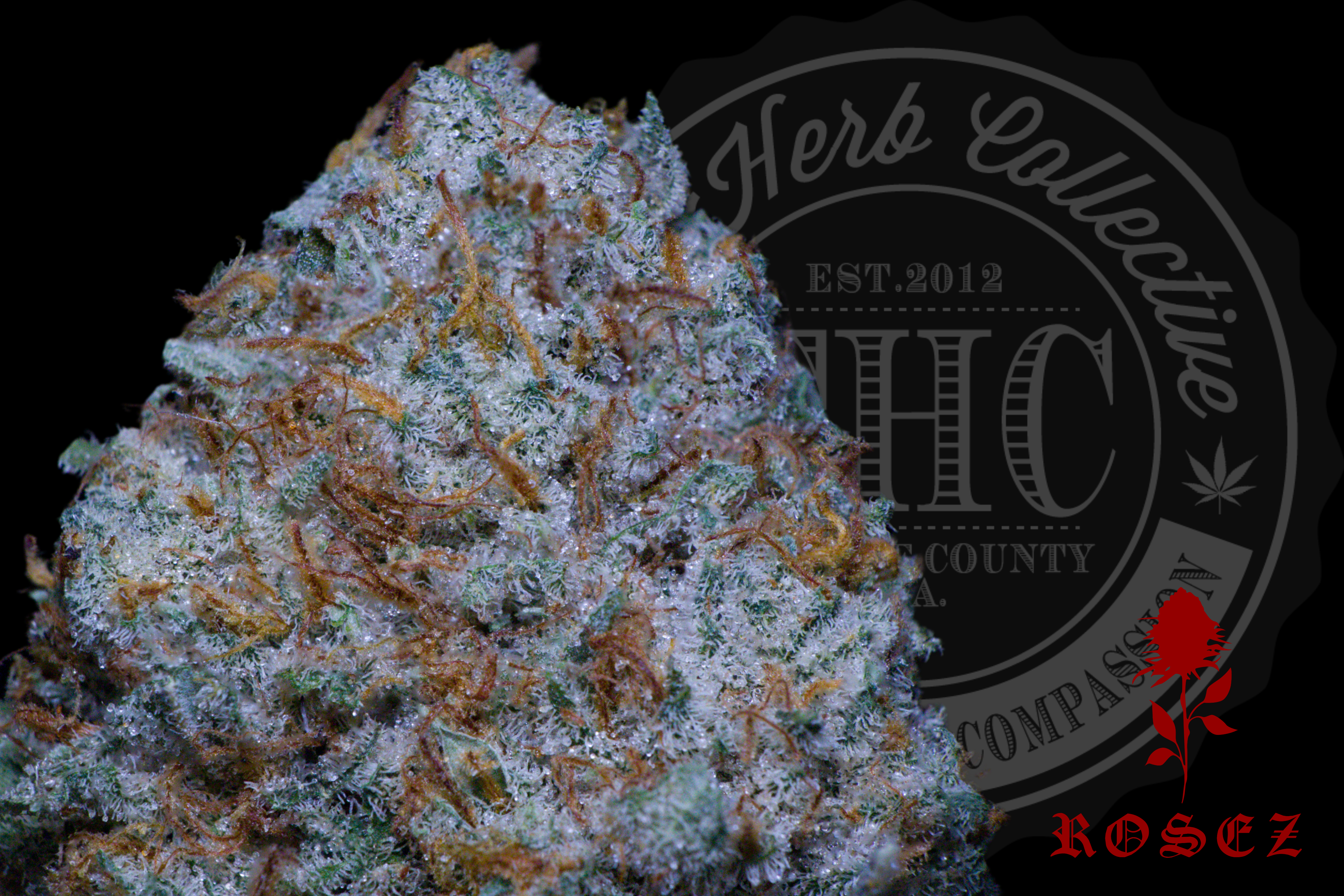 White Fire #43 27.6%