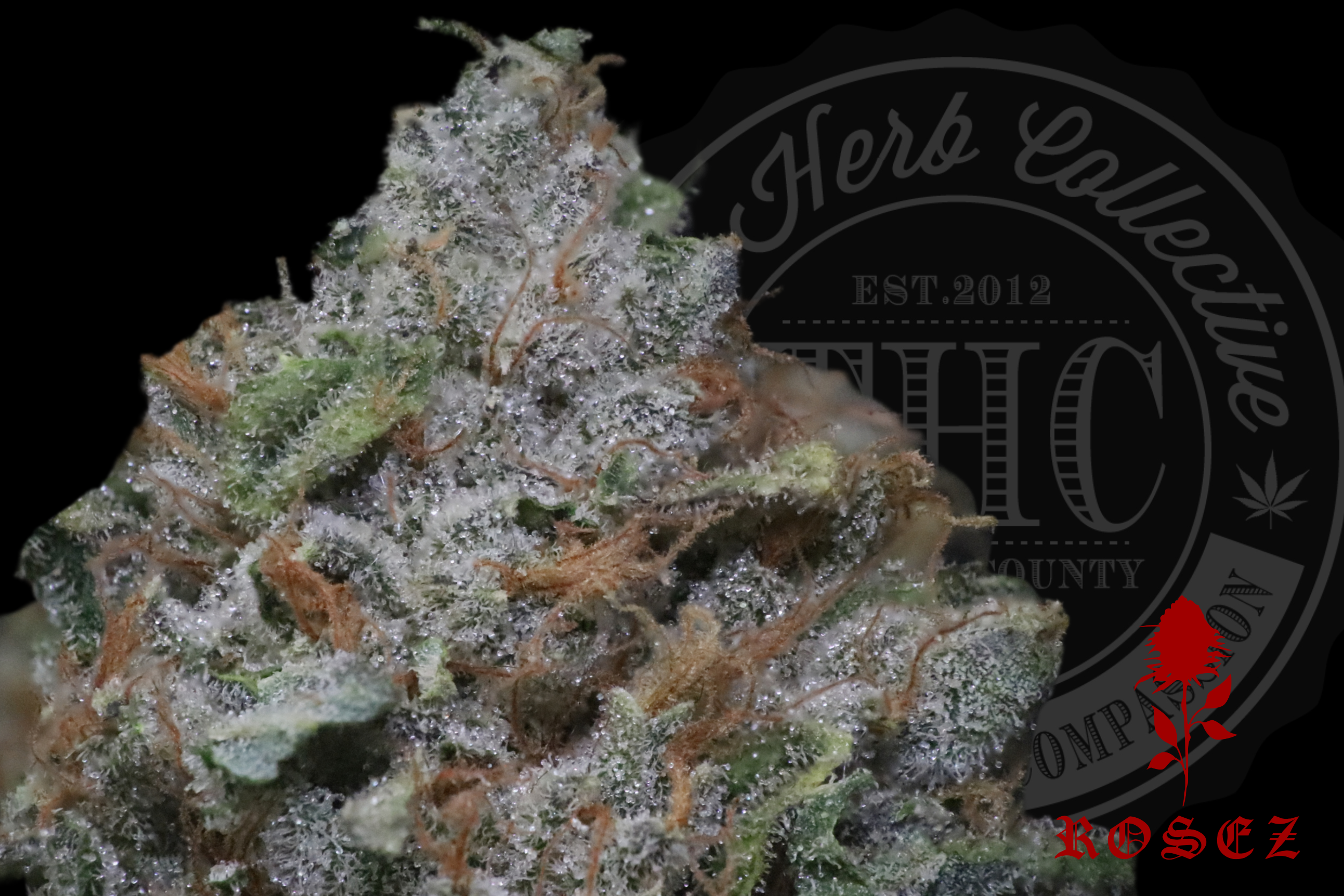 NUGGETRY OG 27.2% | CONNOISSEUR | ROSEZ CO.