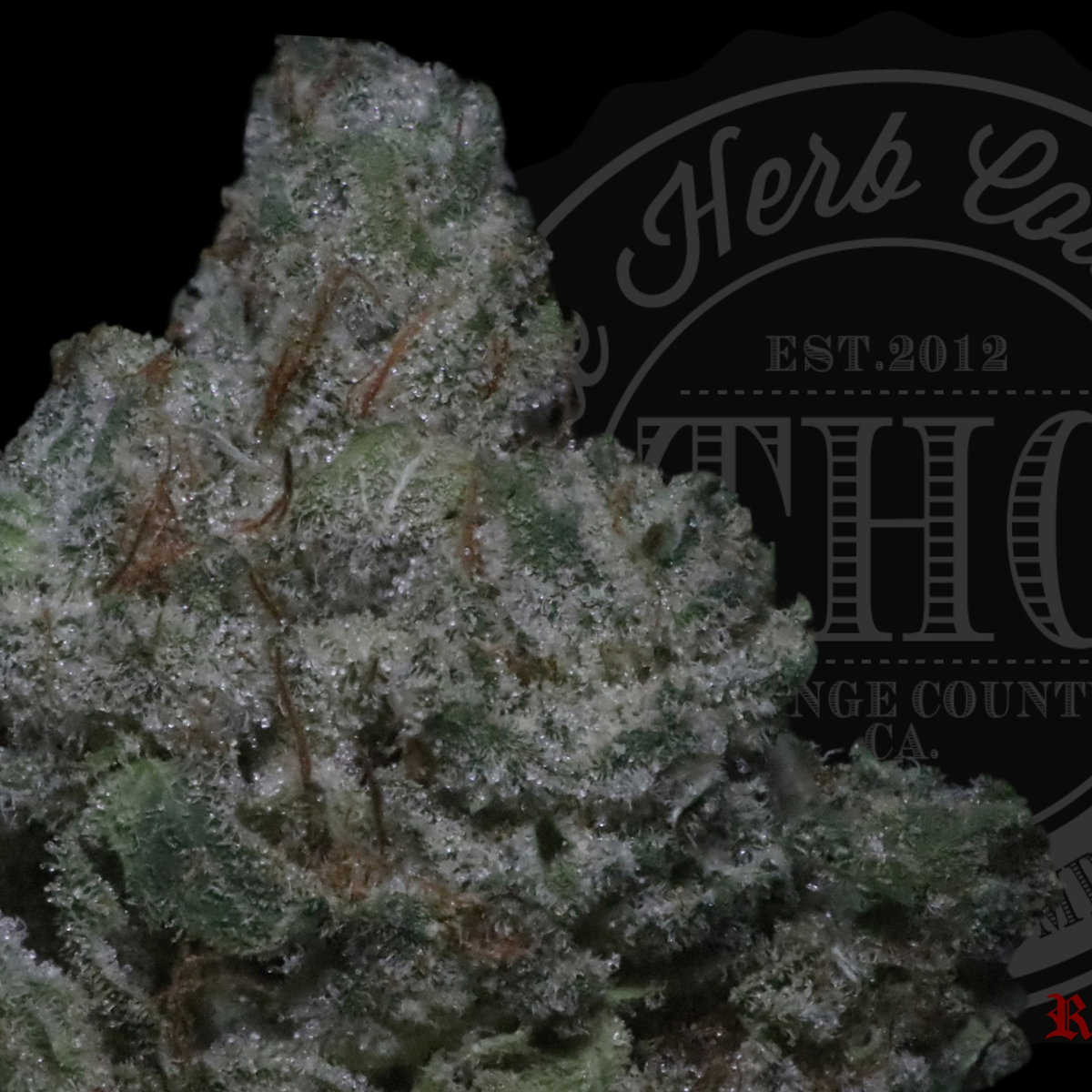 Gorilla Butter 26.6%