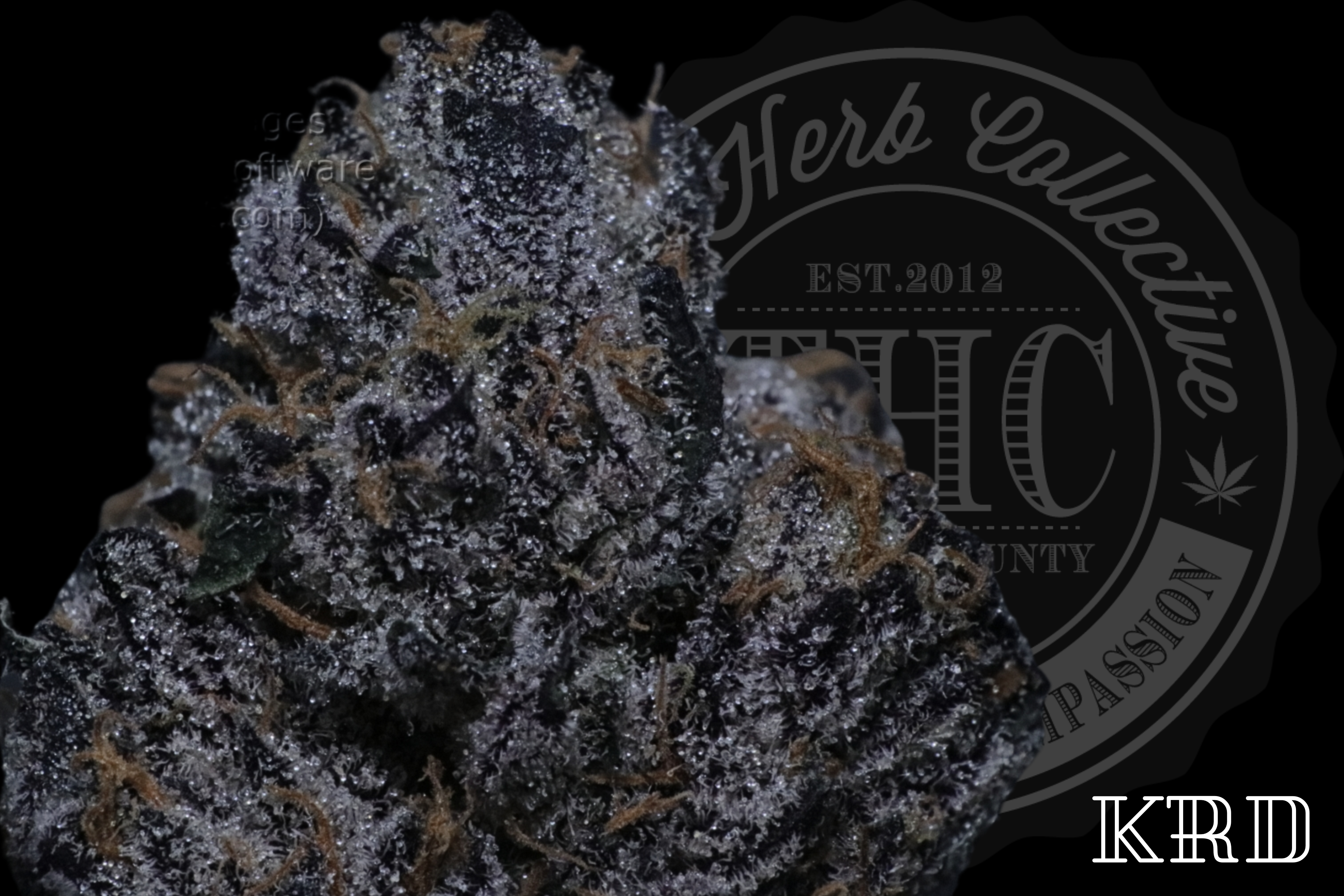 Red Velvet Cookies 31.2%