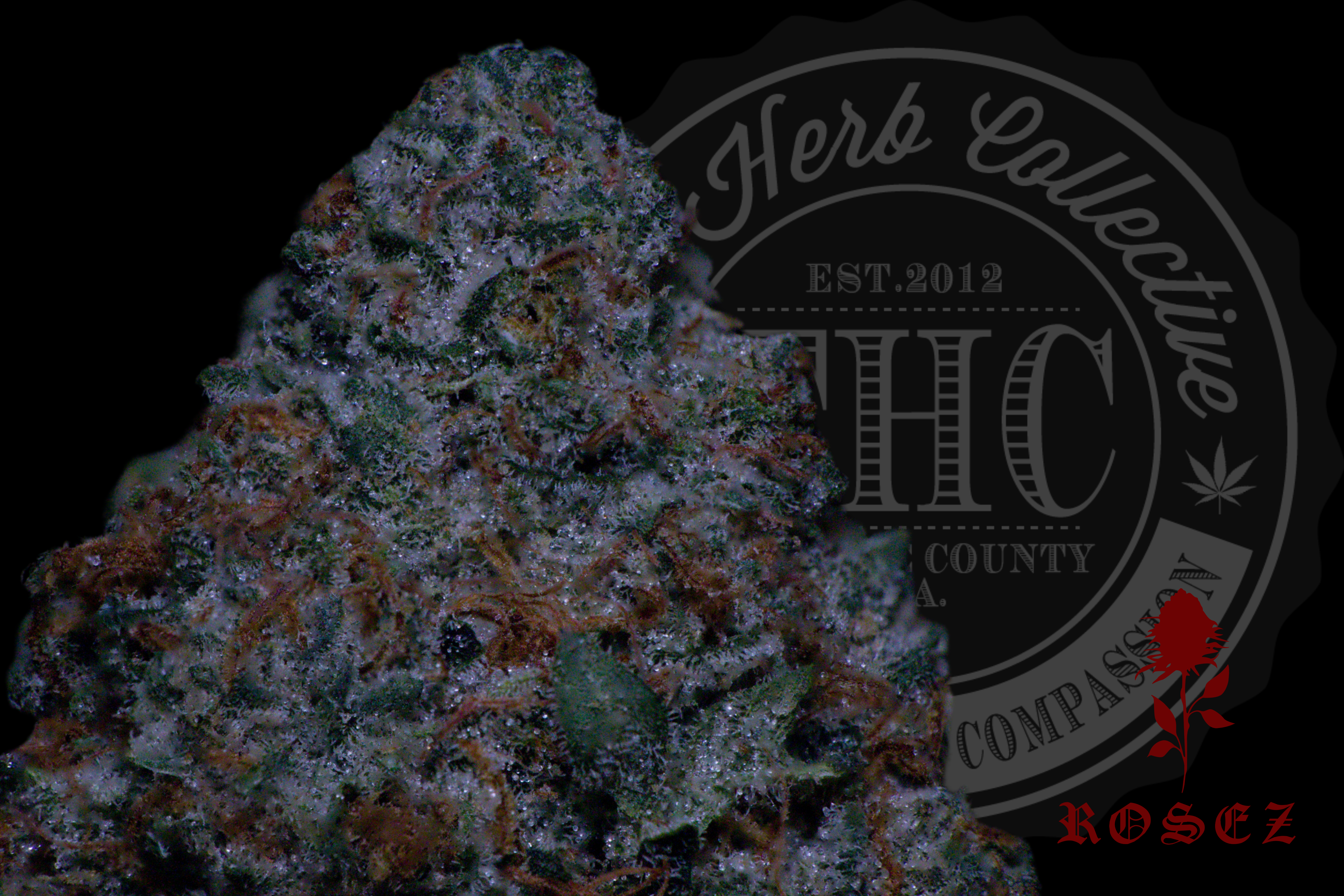 Race Fuel OG 26.4%