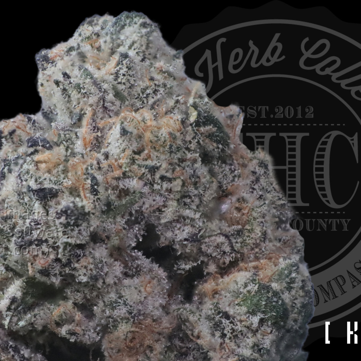 Golden Popperz 38.7%