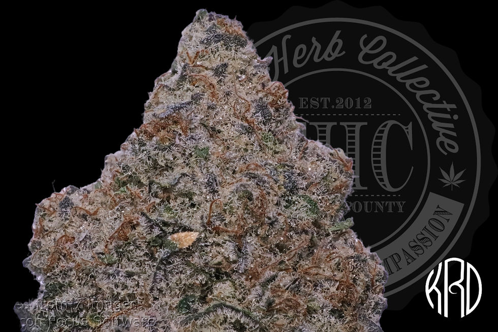 ROASTED GARLIC MARGY 37.3% | EXCLUSIVE CUT | KRD