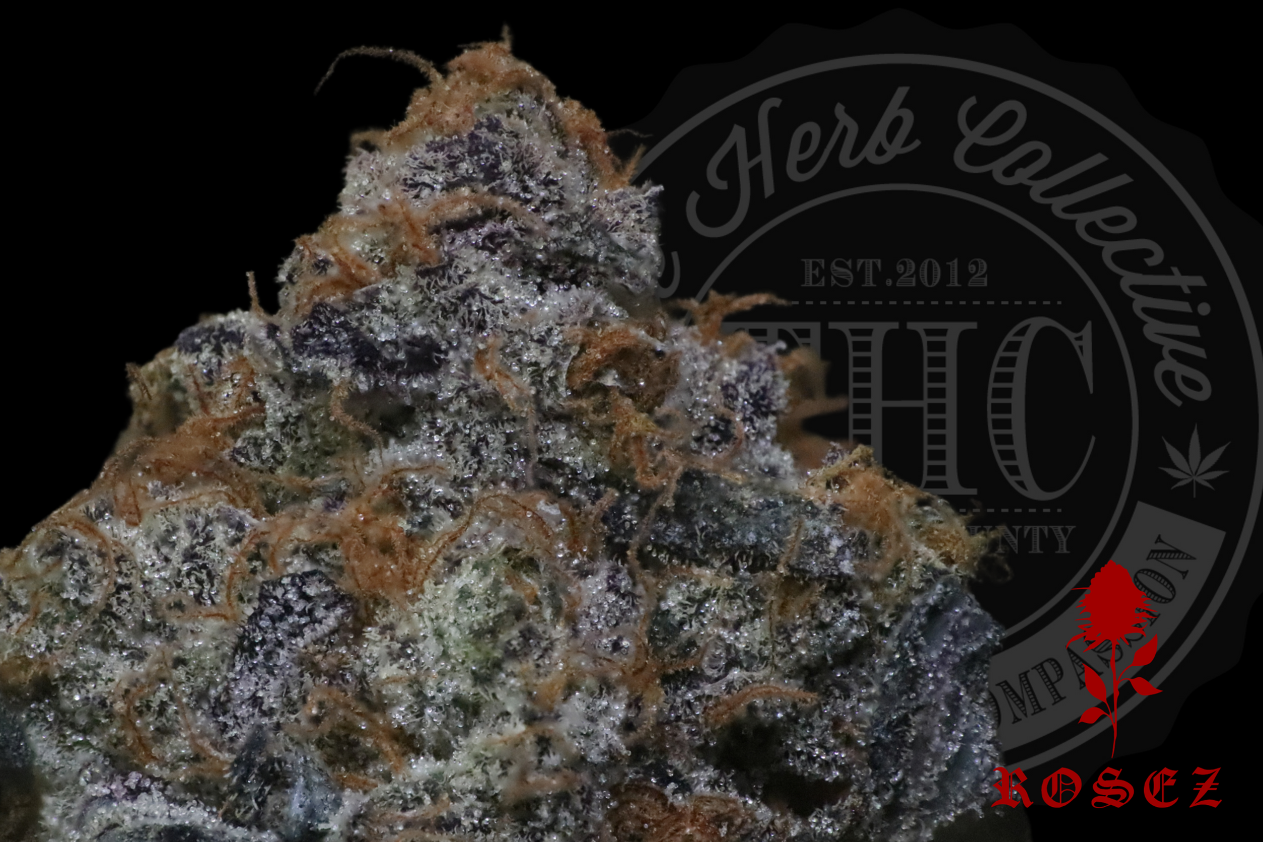 Black Cherry Garlic 27.6%