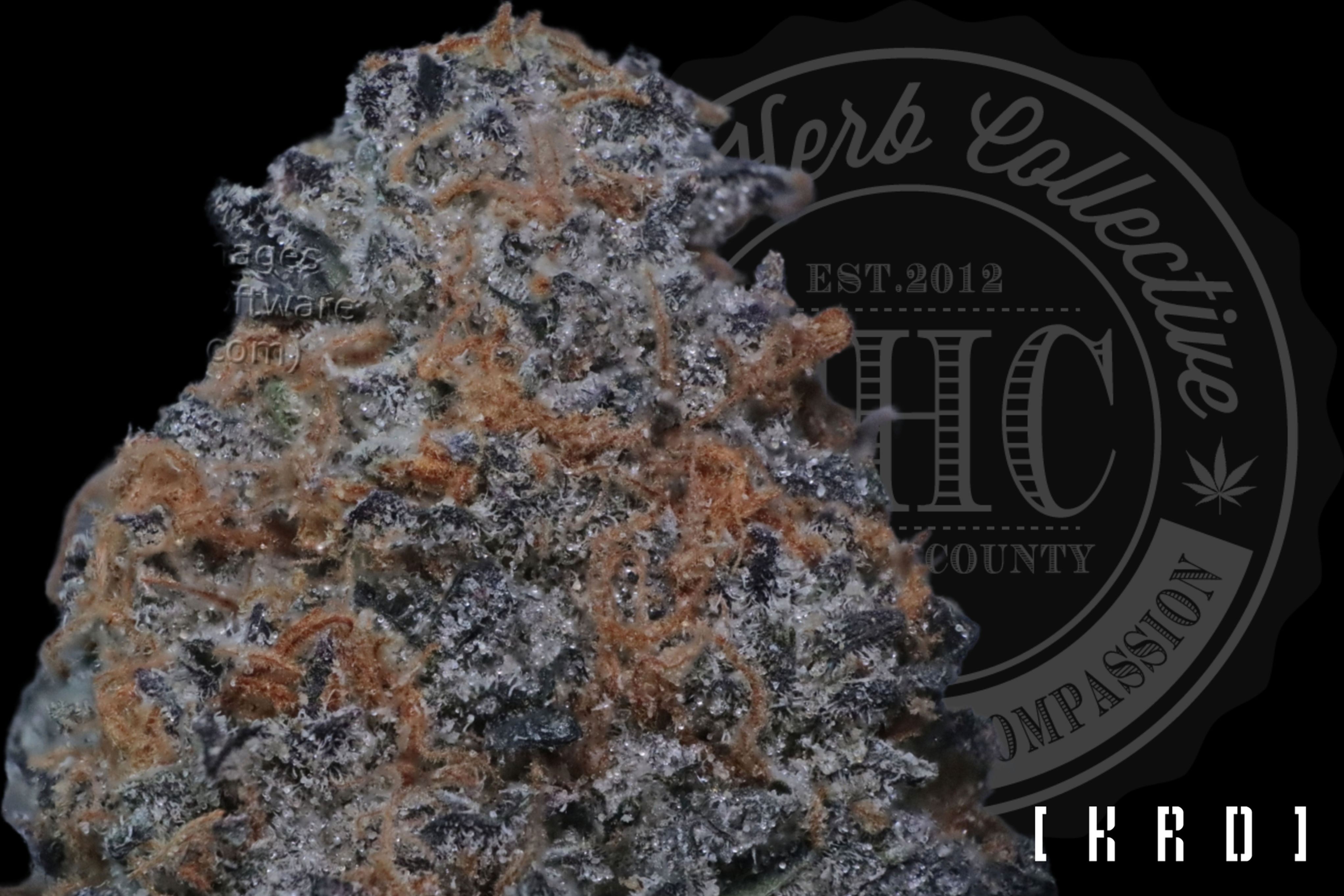 PEANUT BUTTER COOKIE DOUGH 36.2% | EXCLUSIVE CUT | K R D