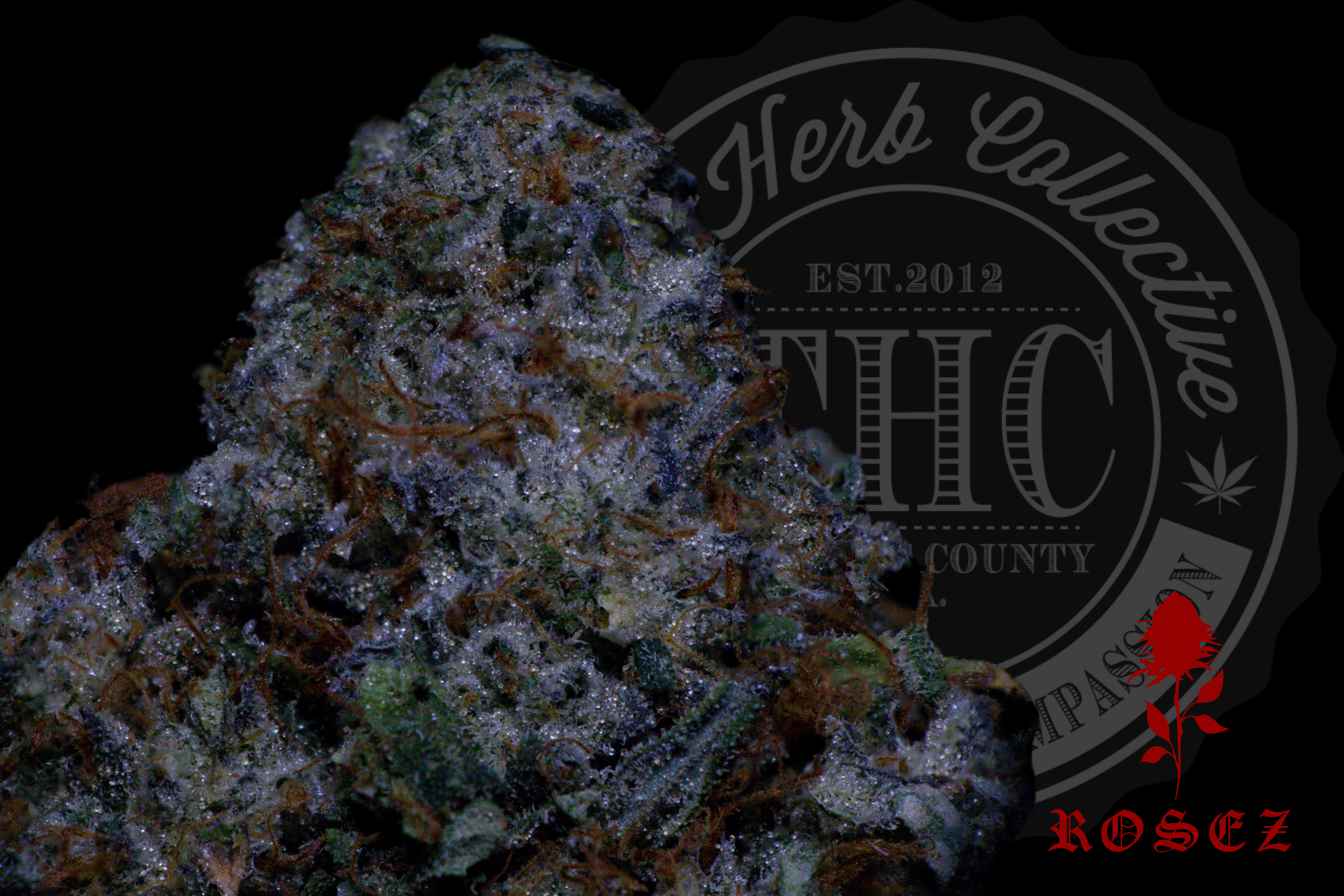 LA Diesel Cake 28.2%