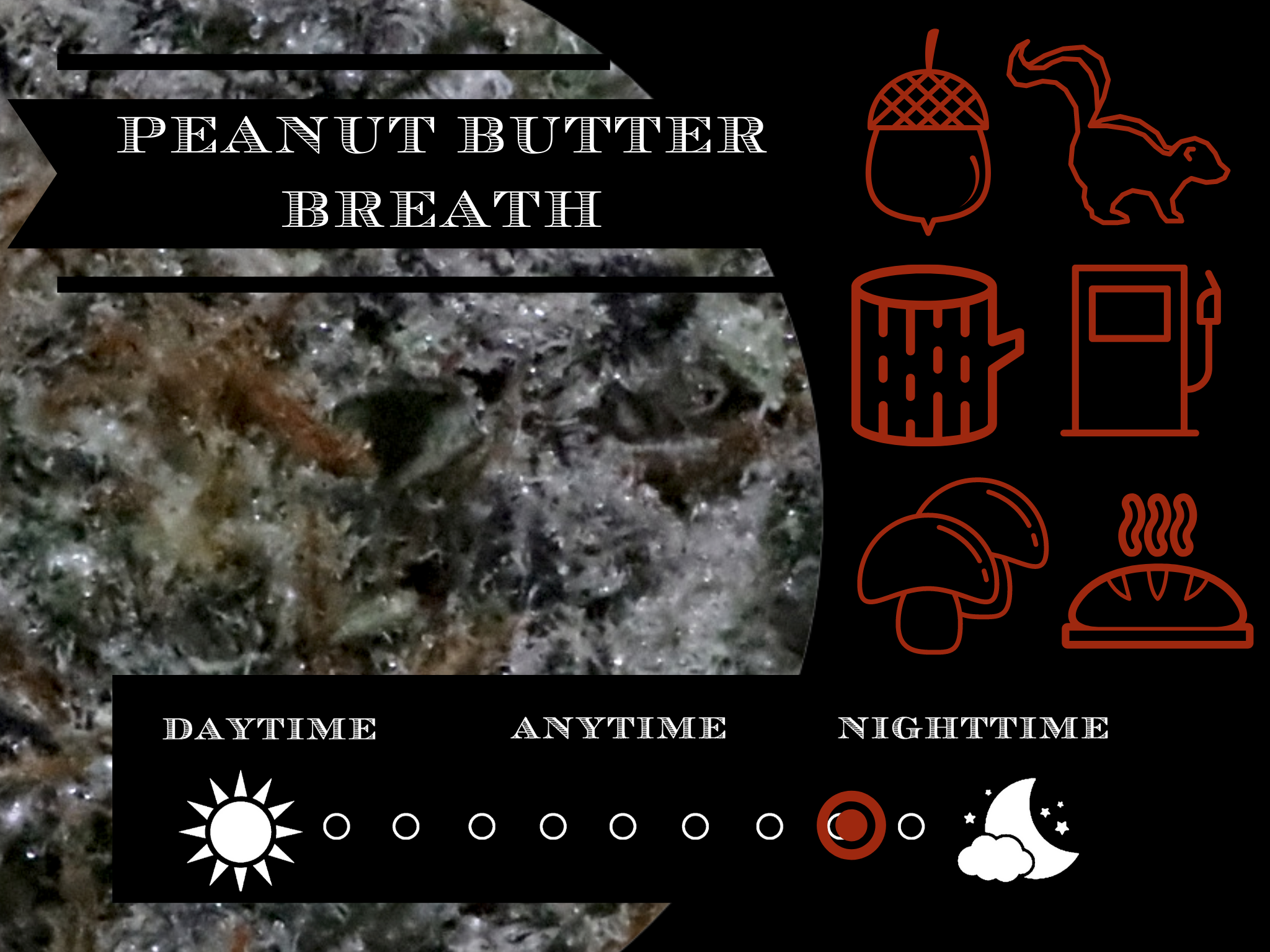 Peanut Butter Breath 26.6% view 2
