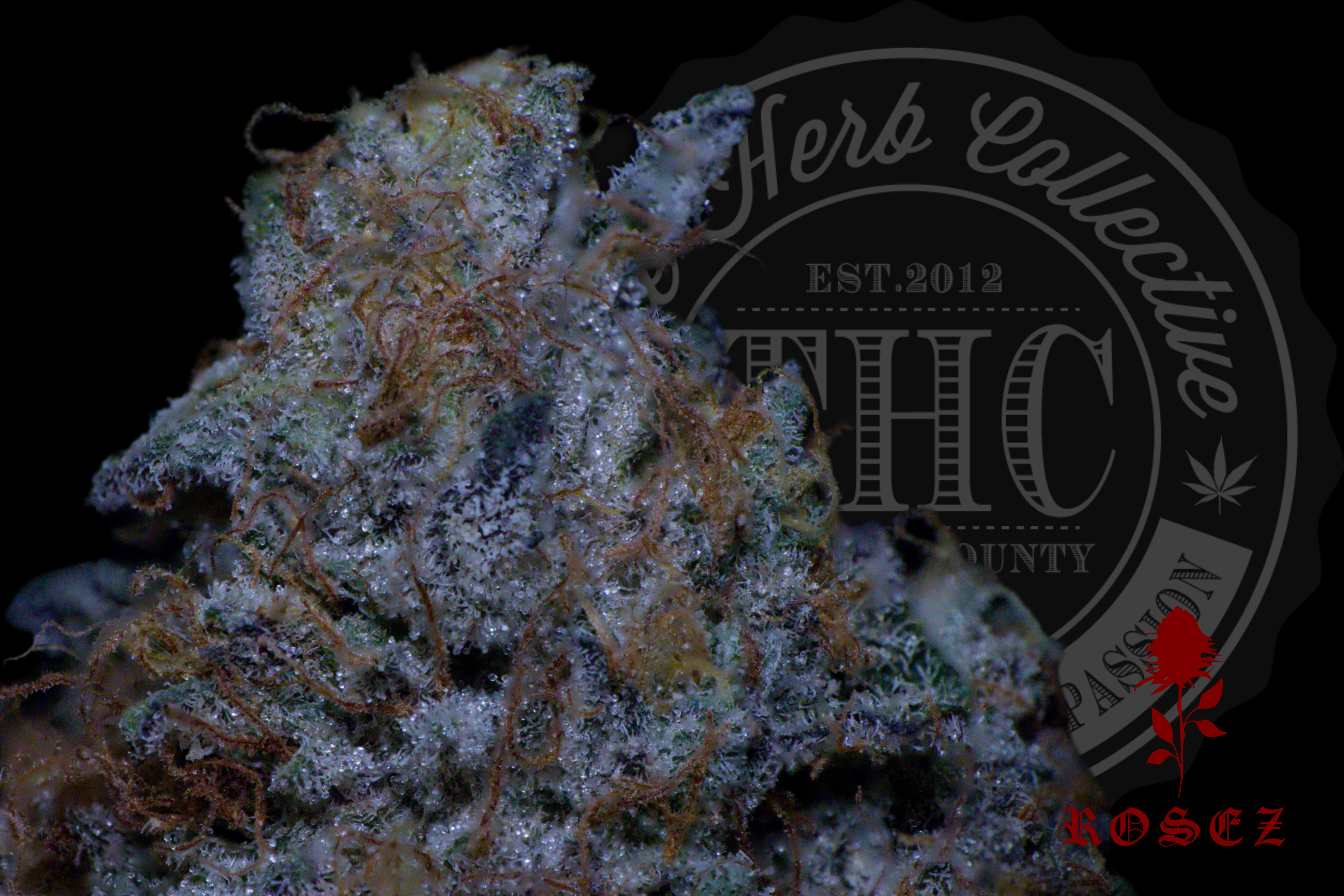 Silver Kosher Kush 27.2%