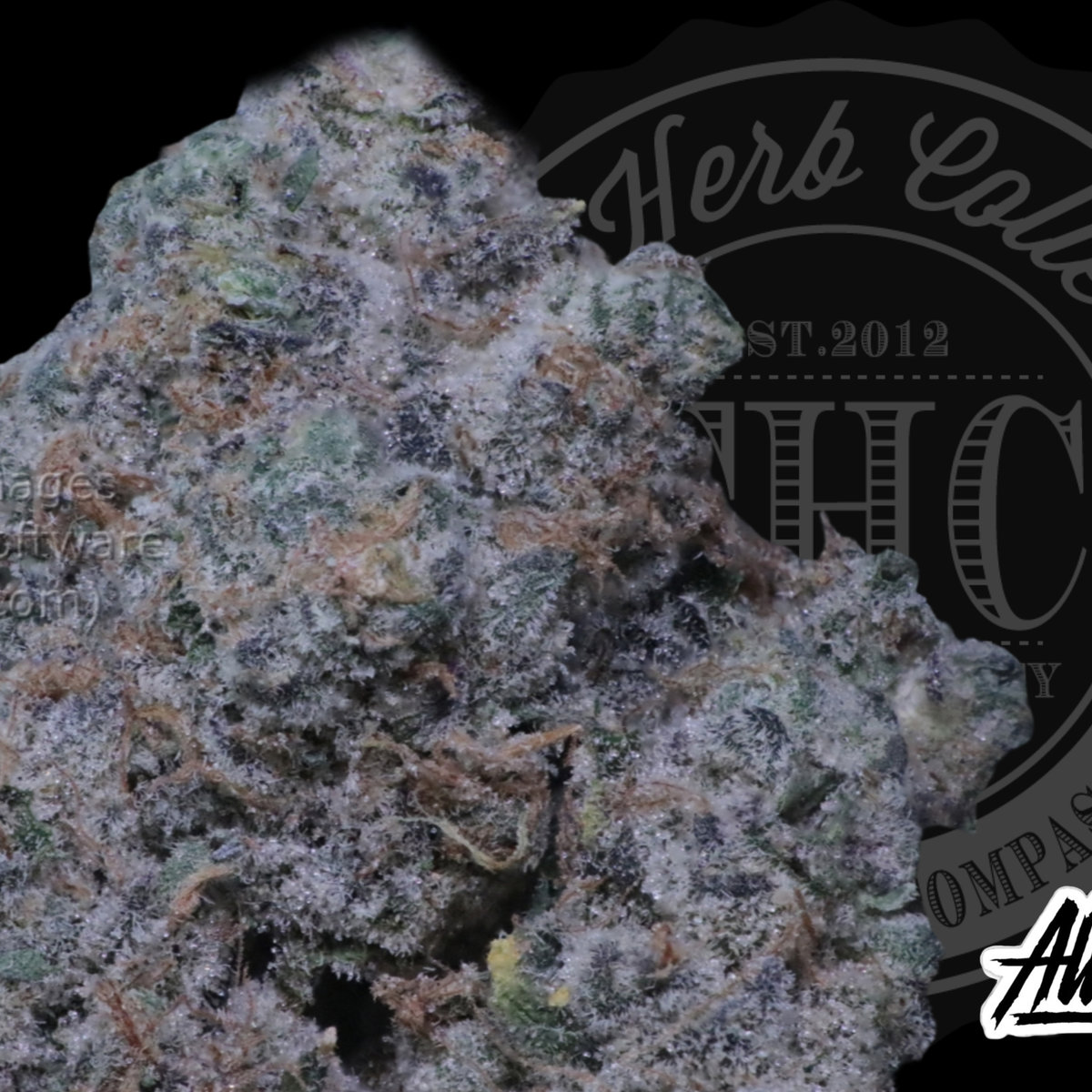 Atomic Apple 34.0%