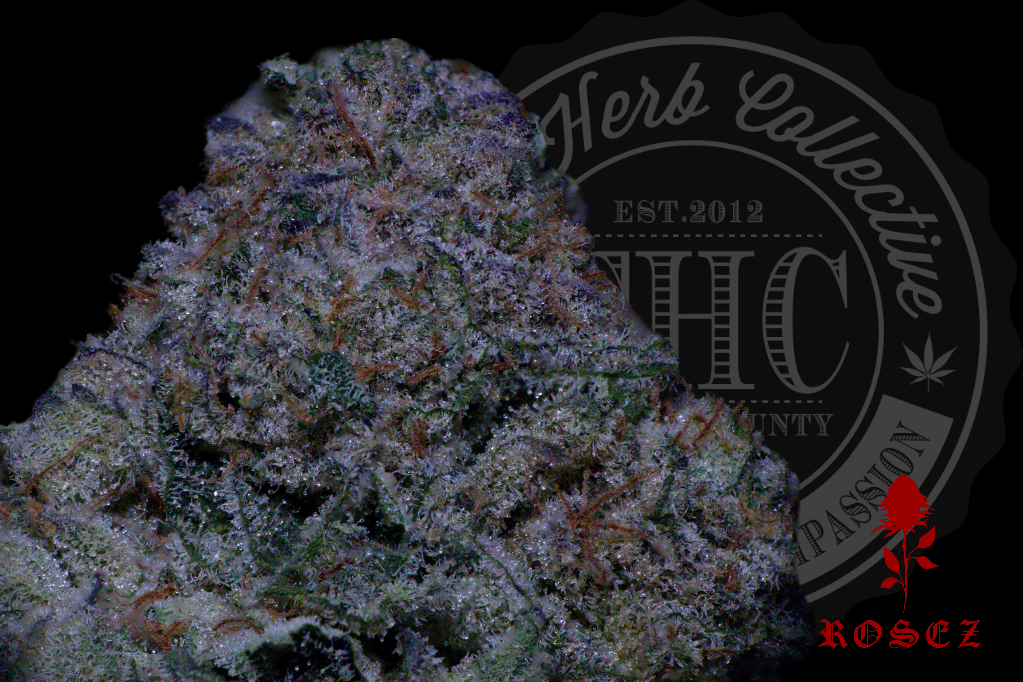 Poison Cake 27.6%