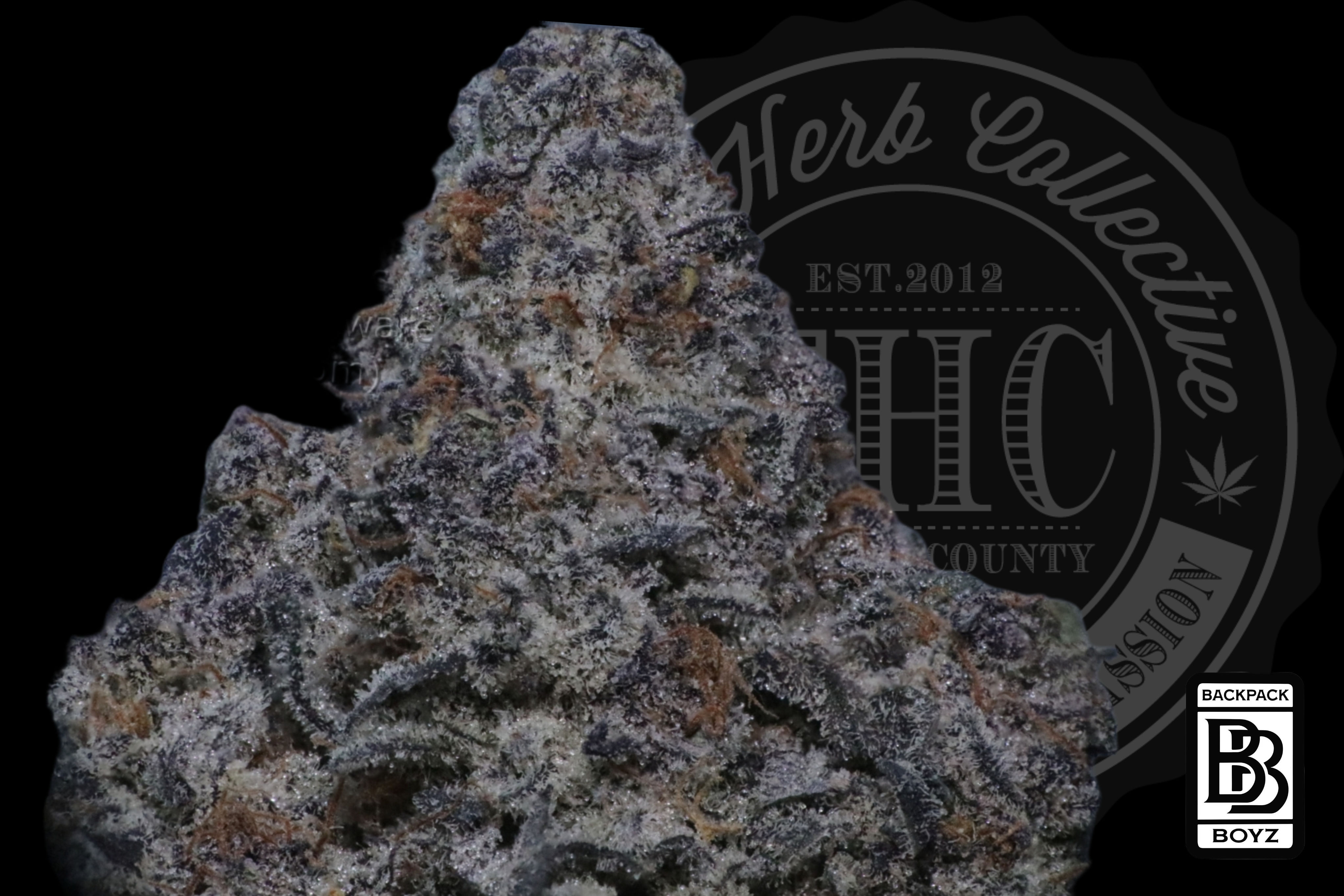 UNCLE SNOOP 32.6% | RESERVE | BACKPACK BOYZ