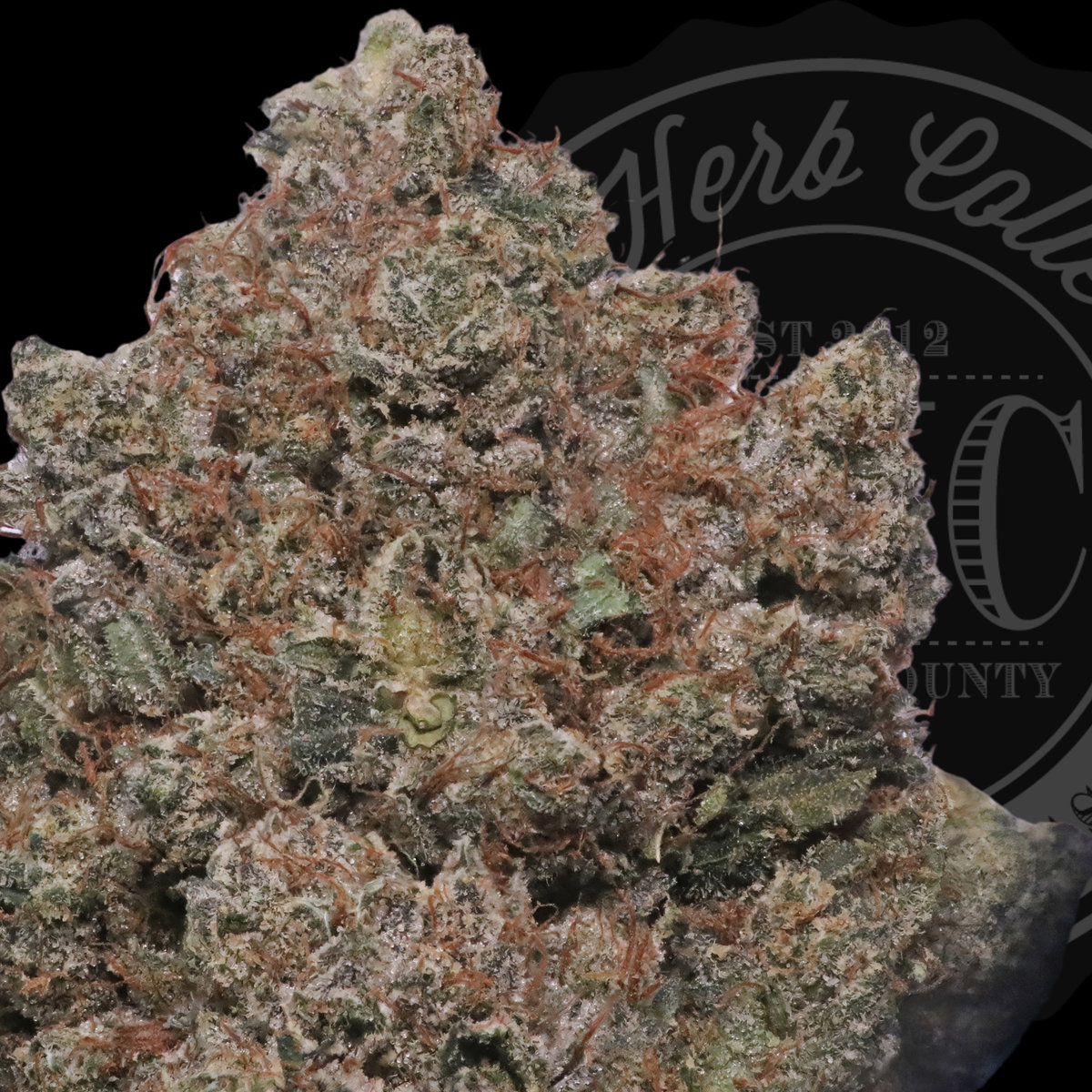 Billy Kimber OG 34.8%