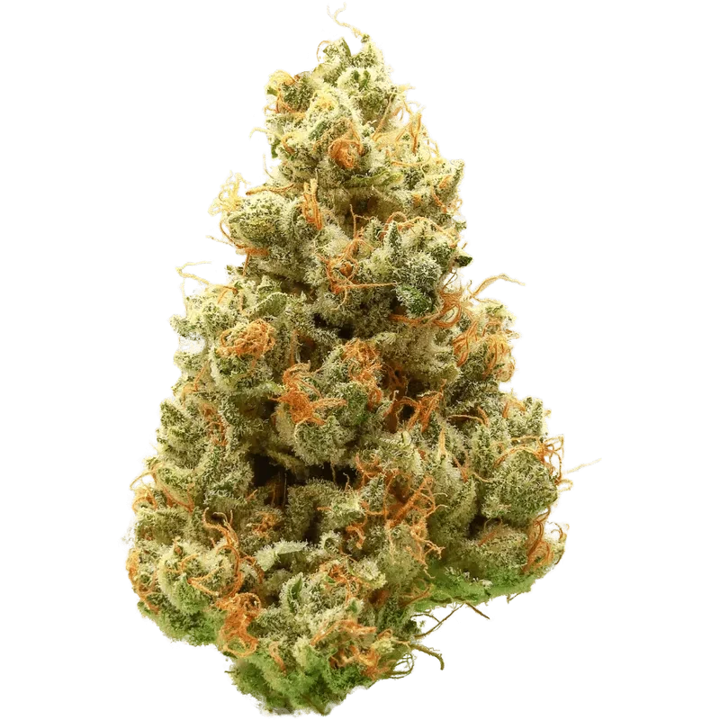 Super Mango Haze 27.00% — 3.5 Gram view 2