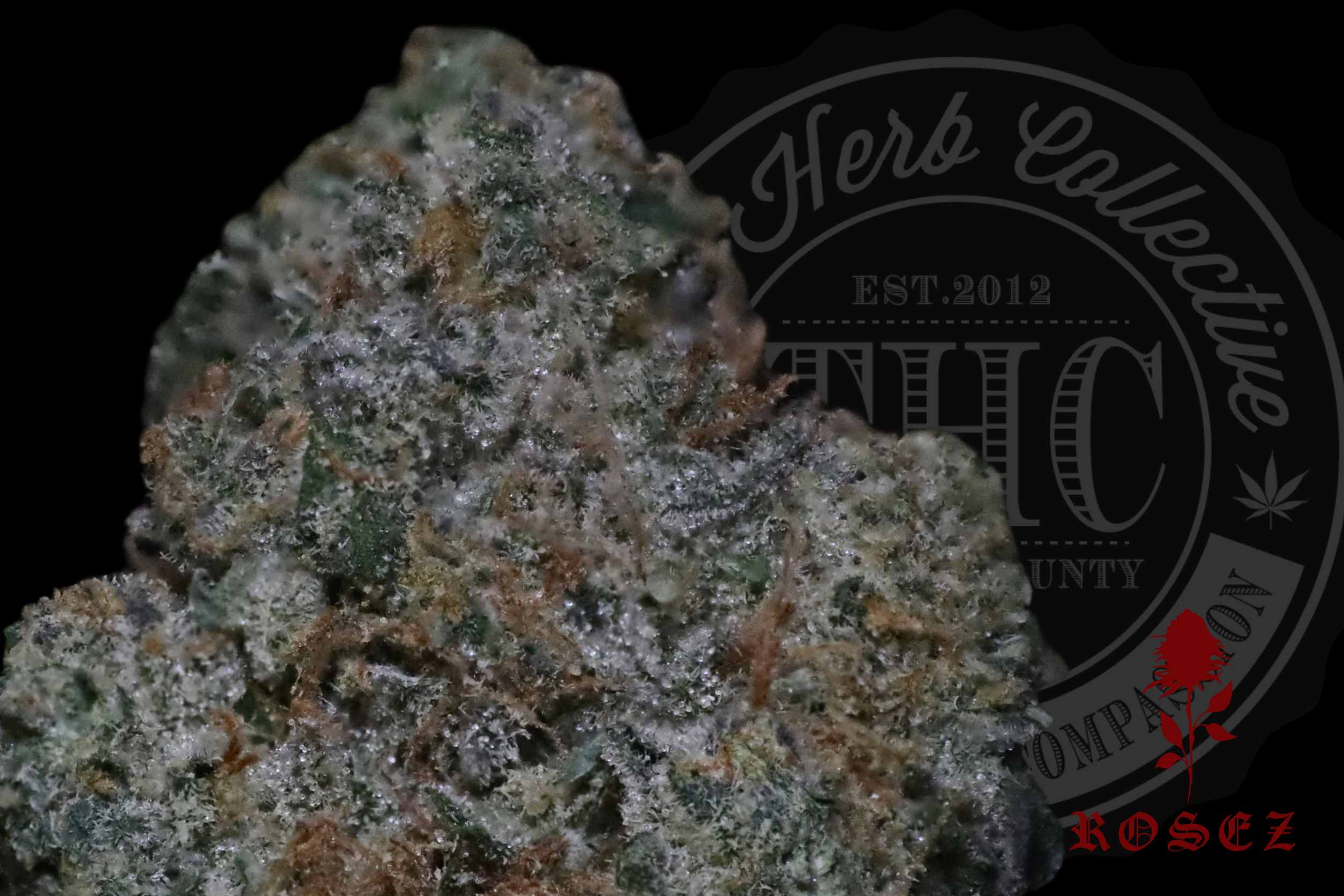 Lemonchello #28 27.2%