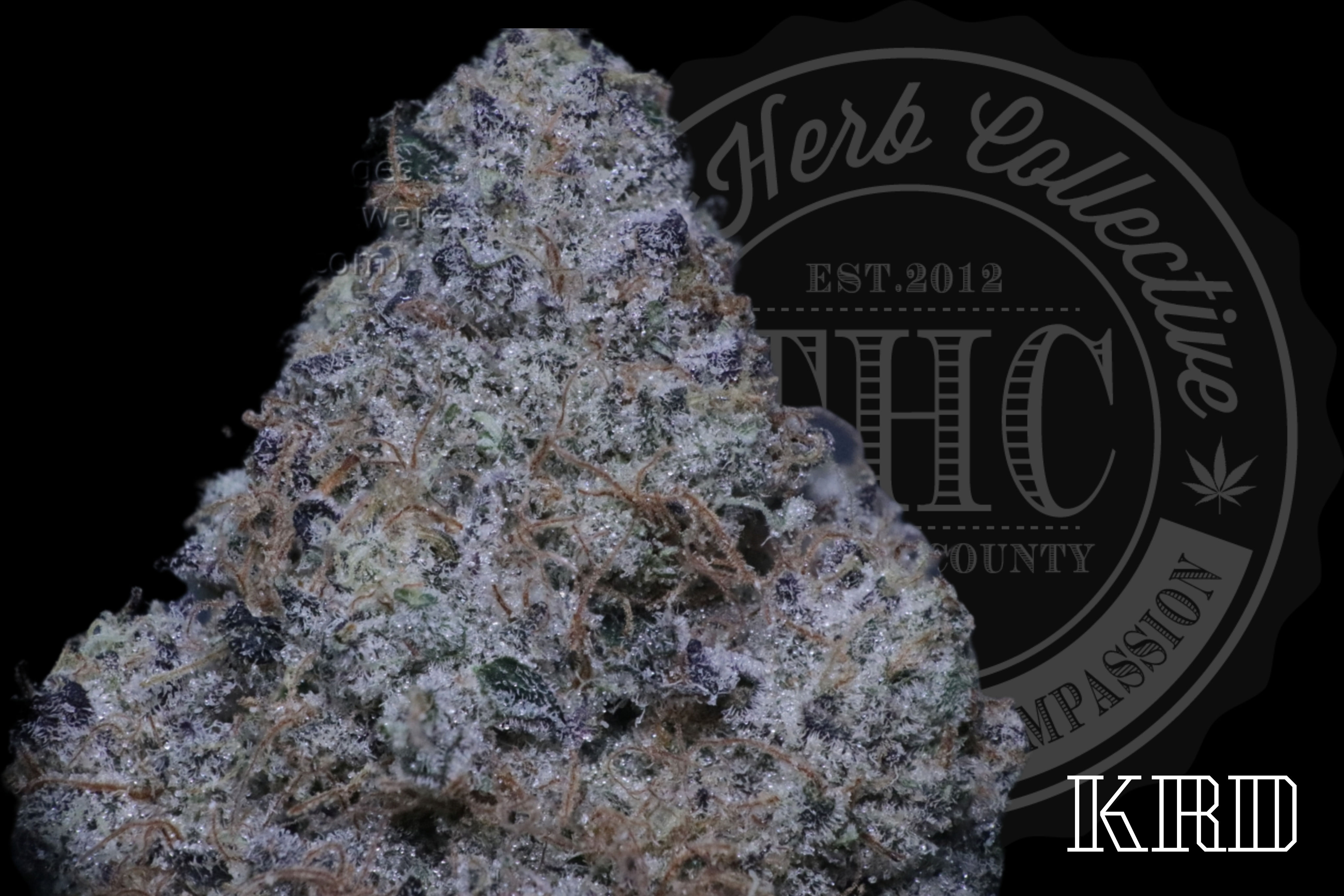 CONFETTI CAKE 37.2 % | EXCLUSIVE CUT | KRD