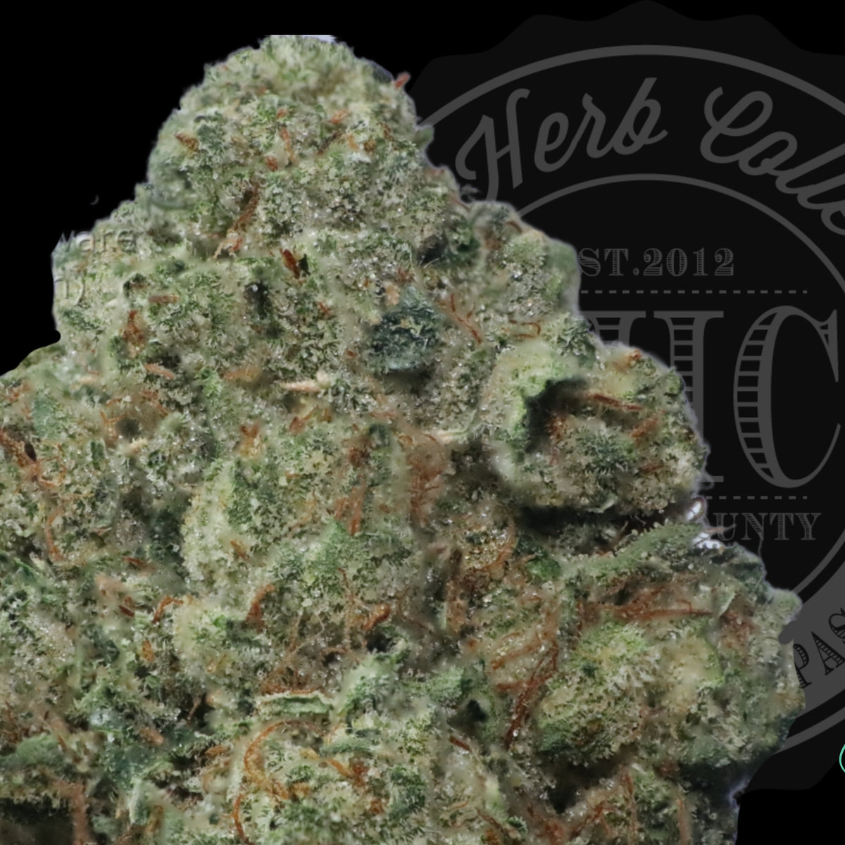 Marshmallow OG 33.8%
