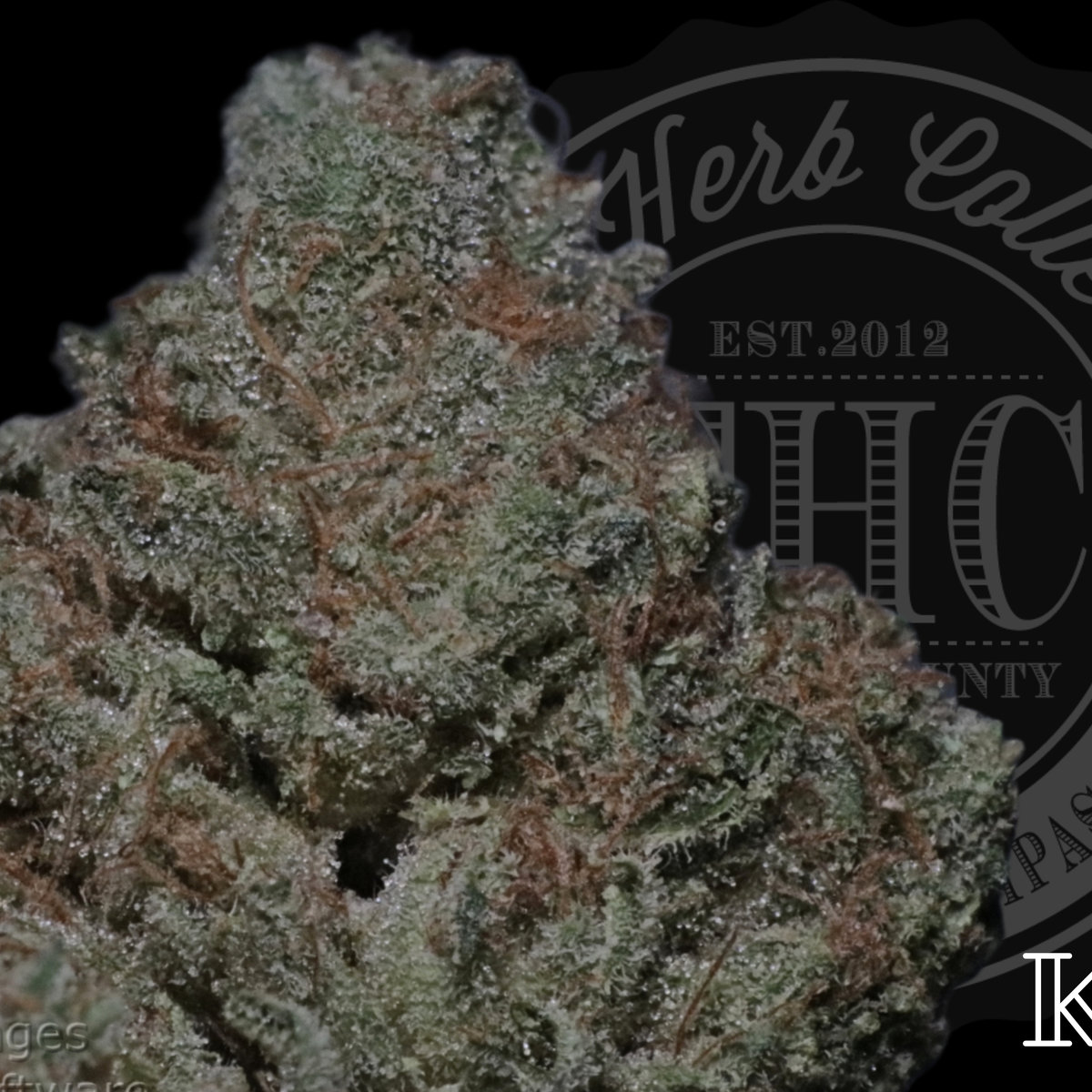 Strawberry Belt OG 32.4%