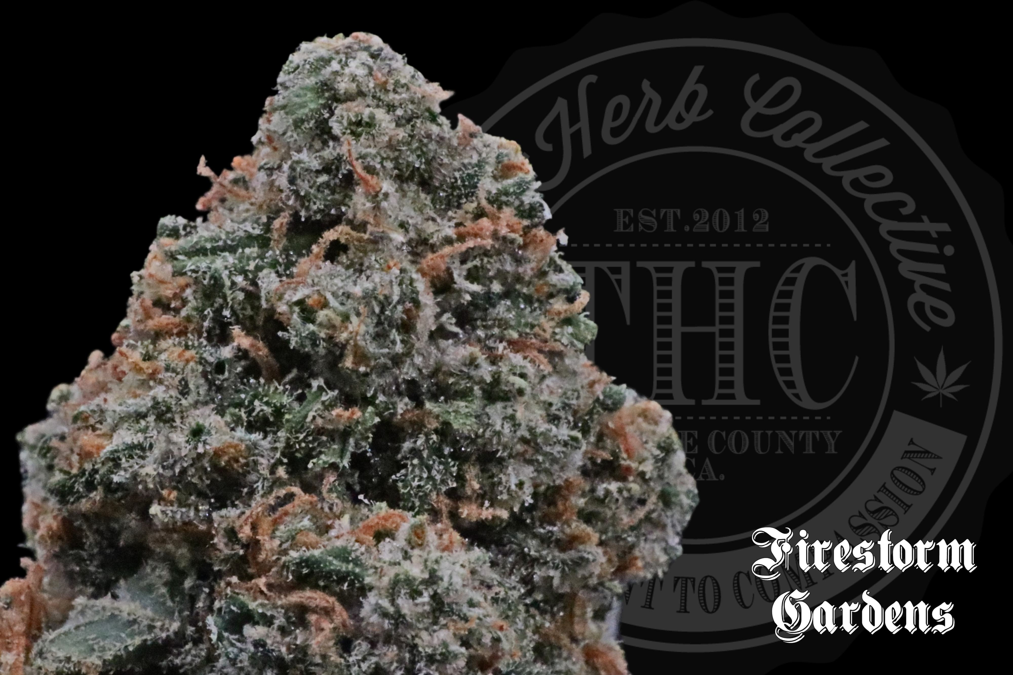 XJ-13 |  POPCORN NUGS | FIRESTORM