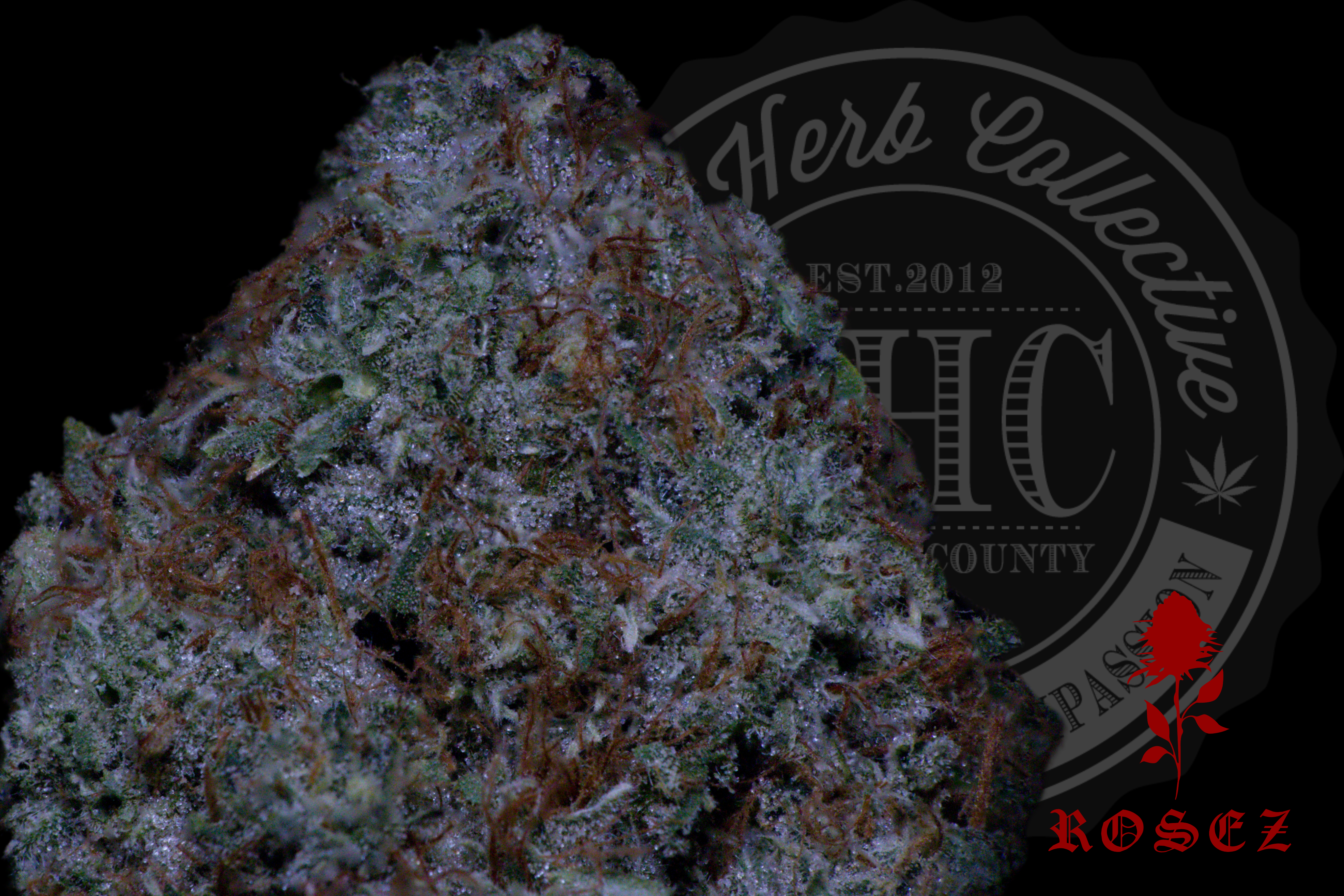 Alien OG 26.8%