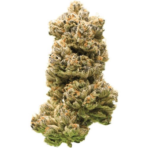 Bluebert 31.7% — 3.5 Gram view 2