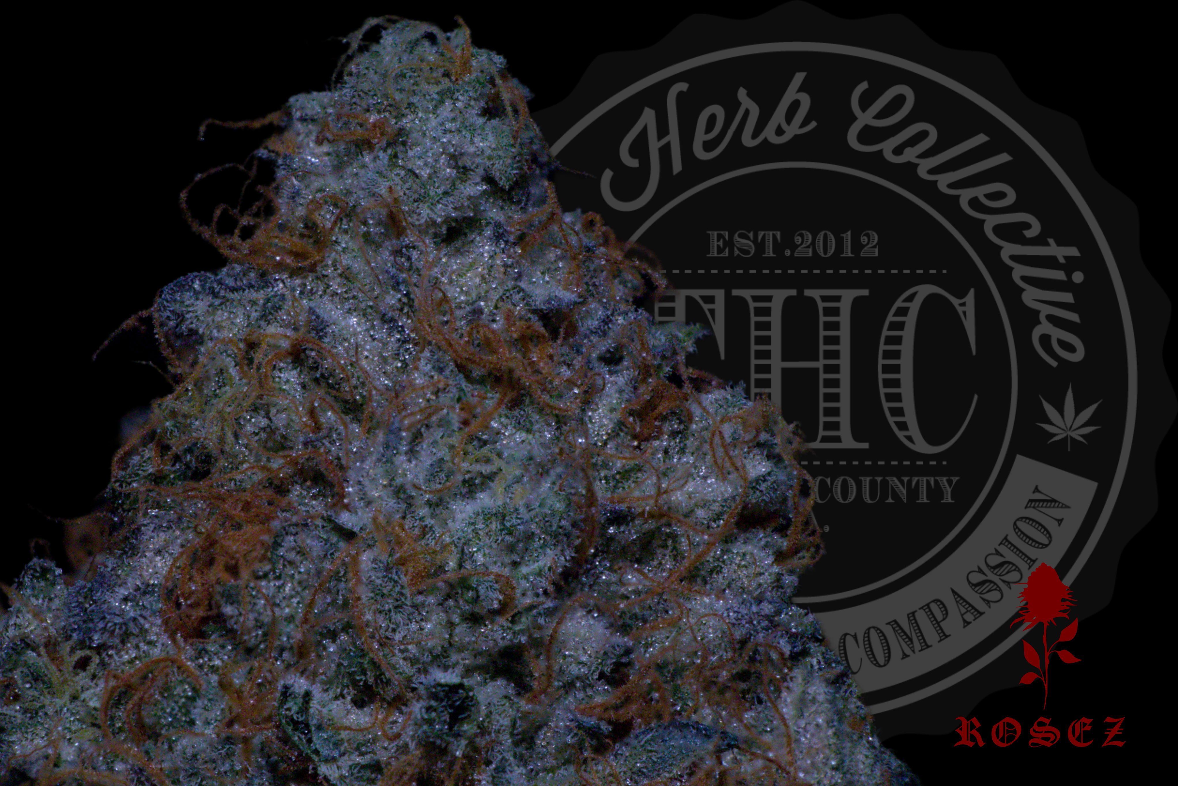 Silver Kush Mints 27.4%