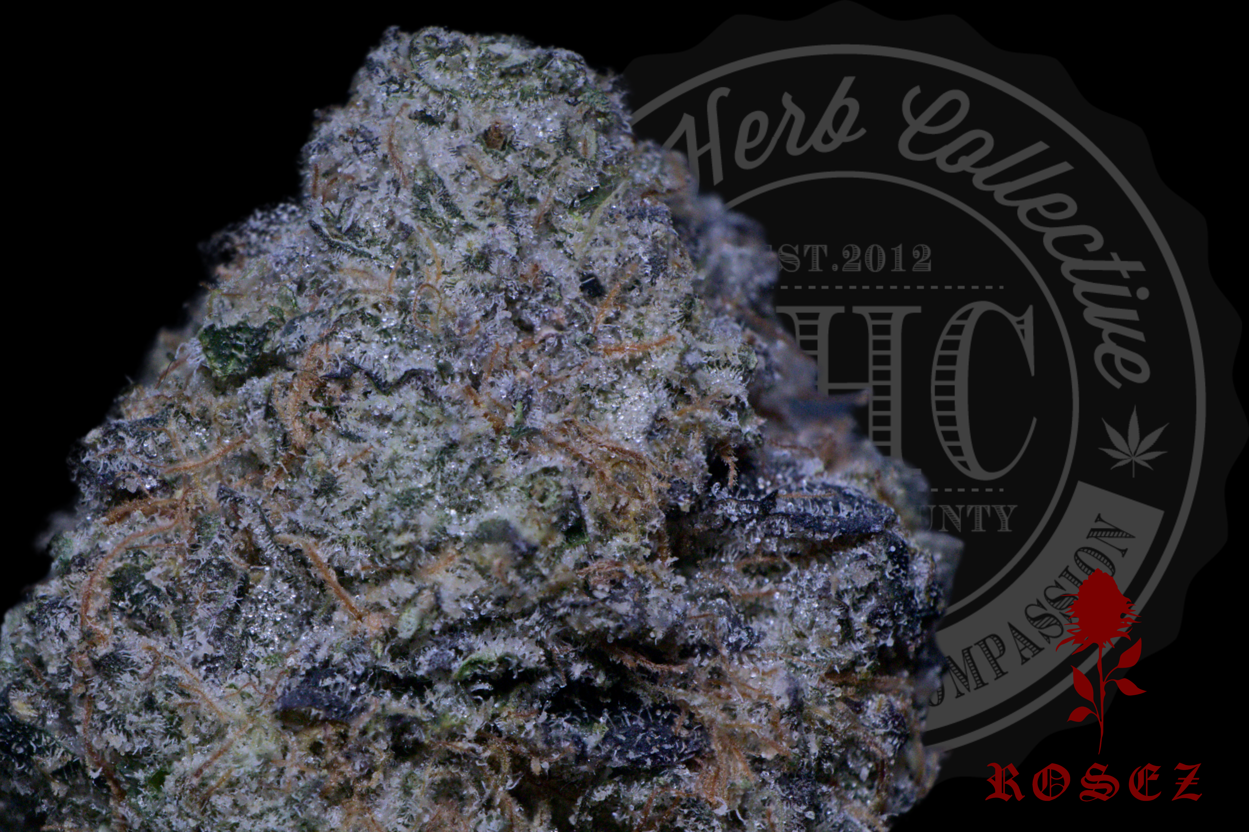 Acai Bird 33 28.2%