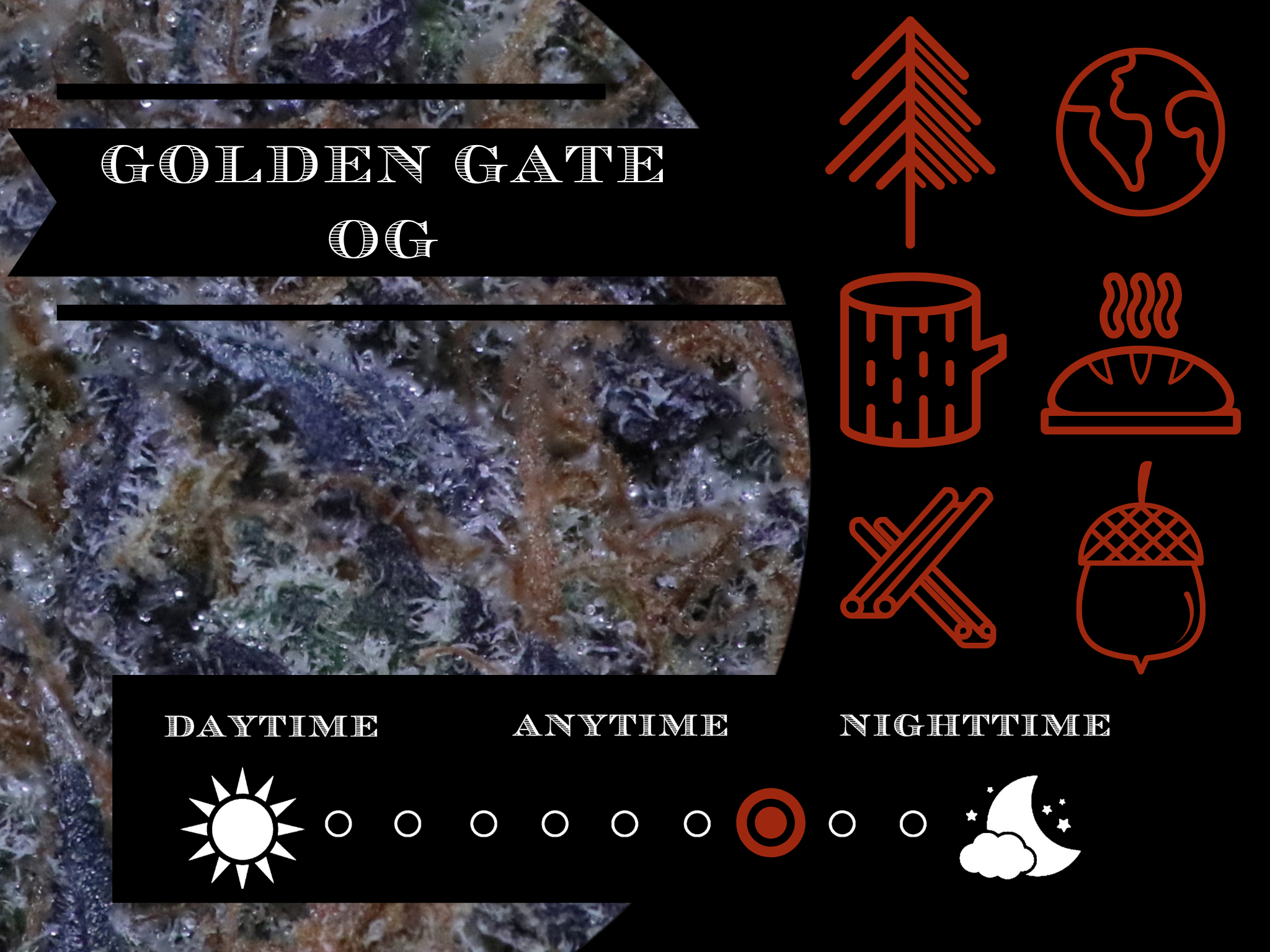 Golden Gatez 27.8% view 2