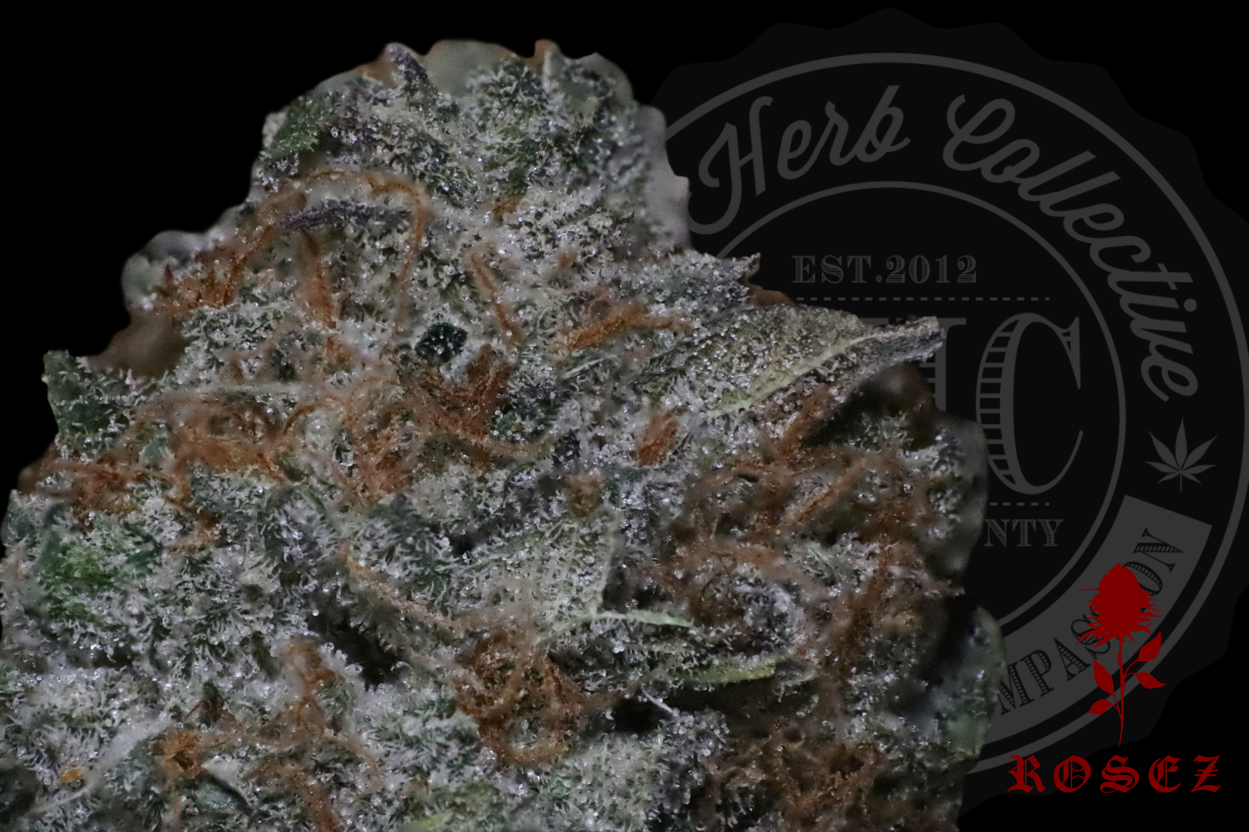 Trifi OG 26.6%