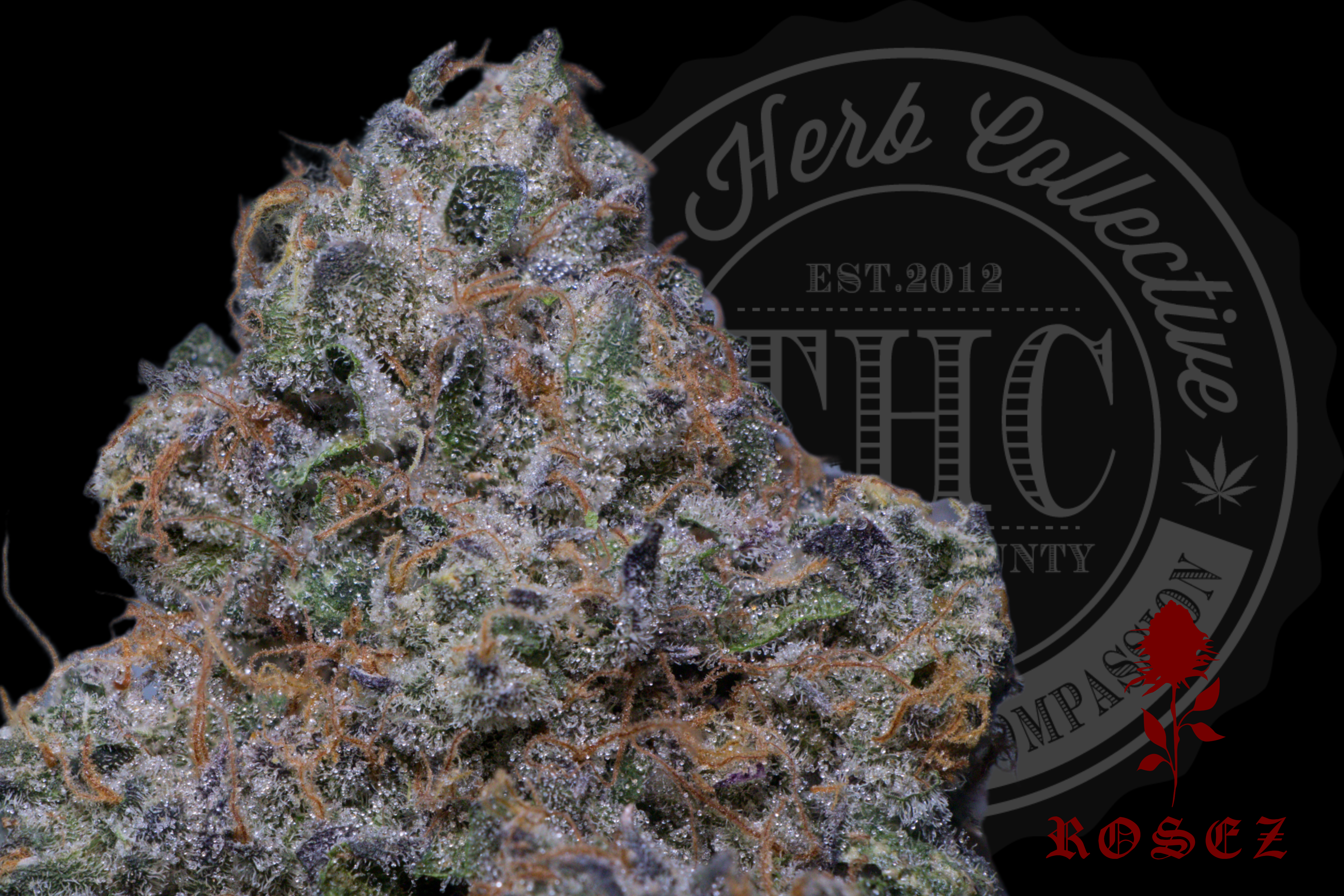 Fritter Mint Cookies 31.1%