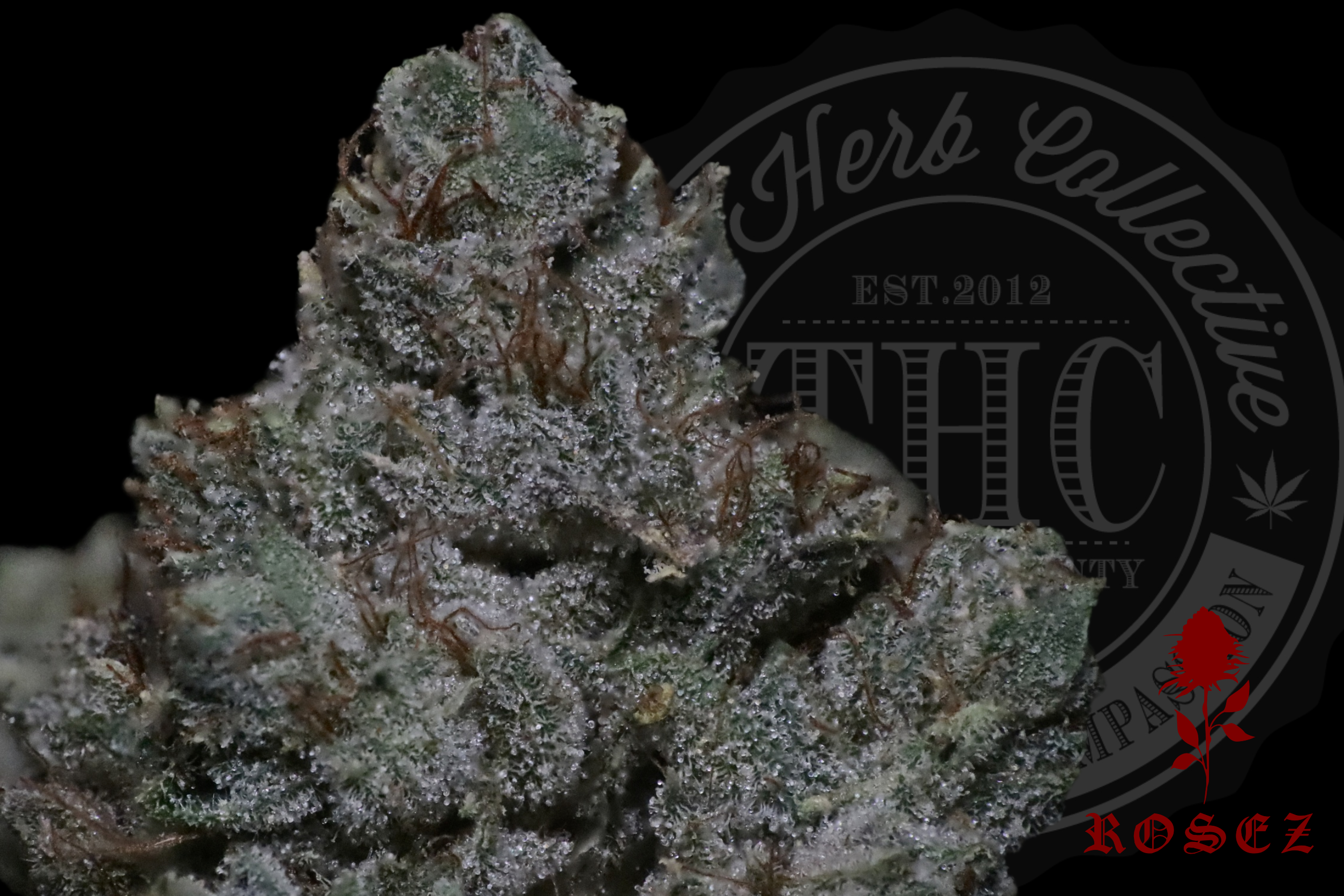 Gorilla Private's 26.8%