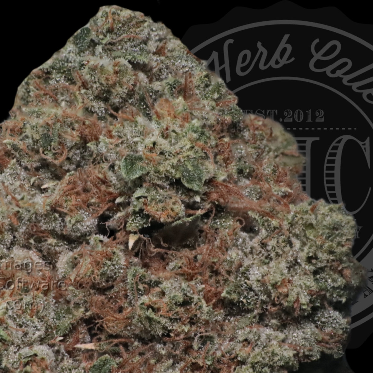 Illuminati OG 35.8%