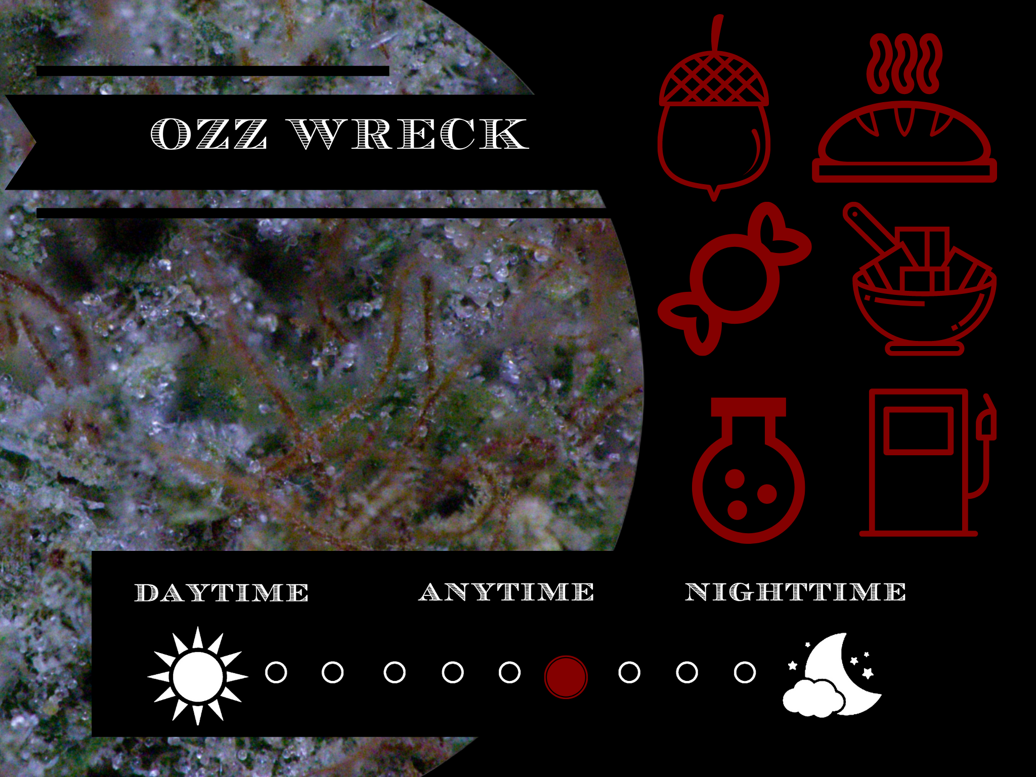 Ozz Wreck 26.8% view 2