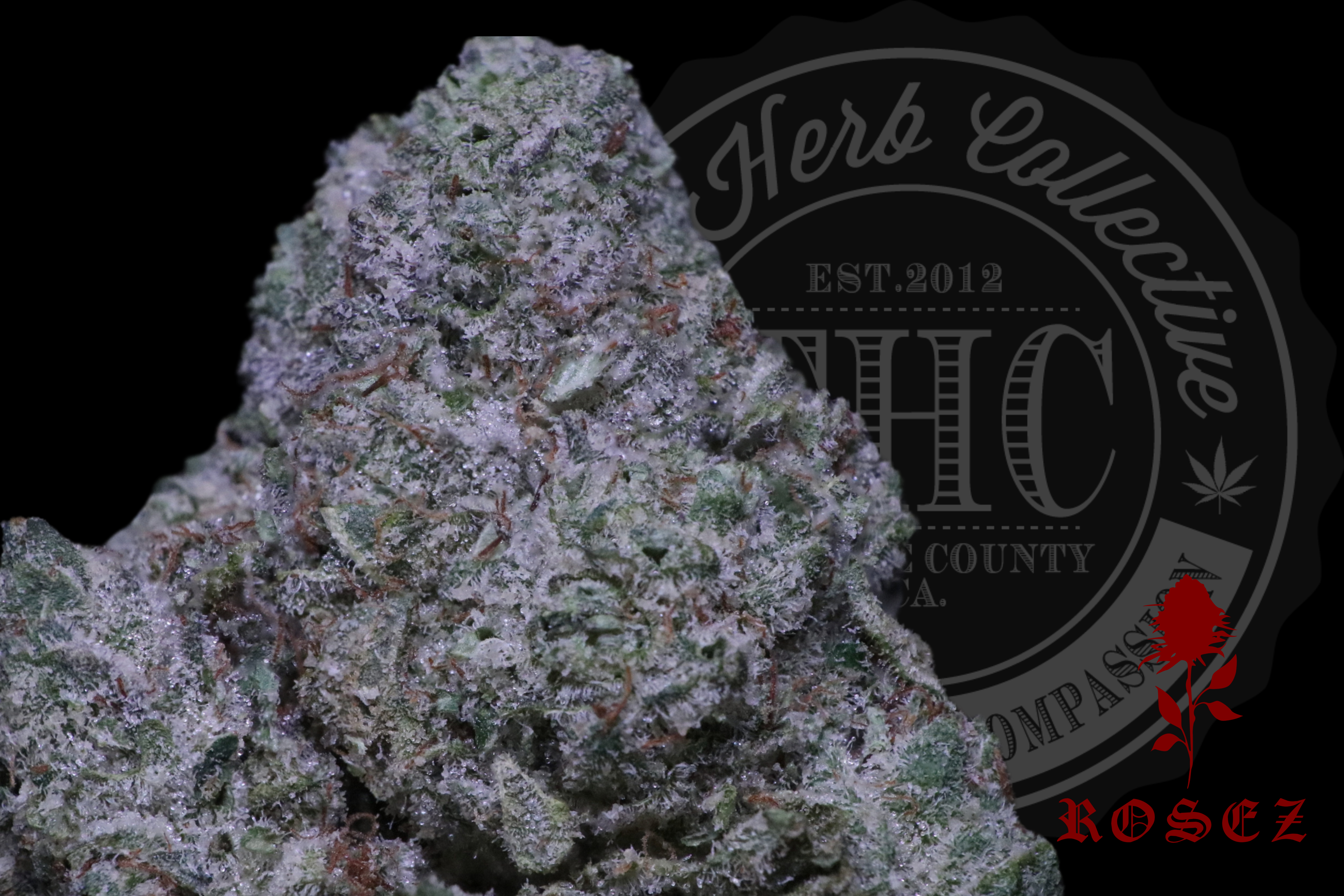 Neptune OG 26.8%